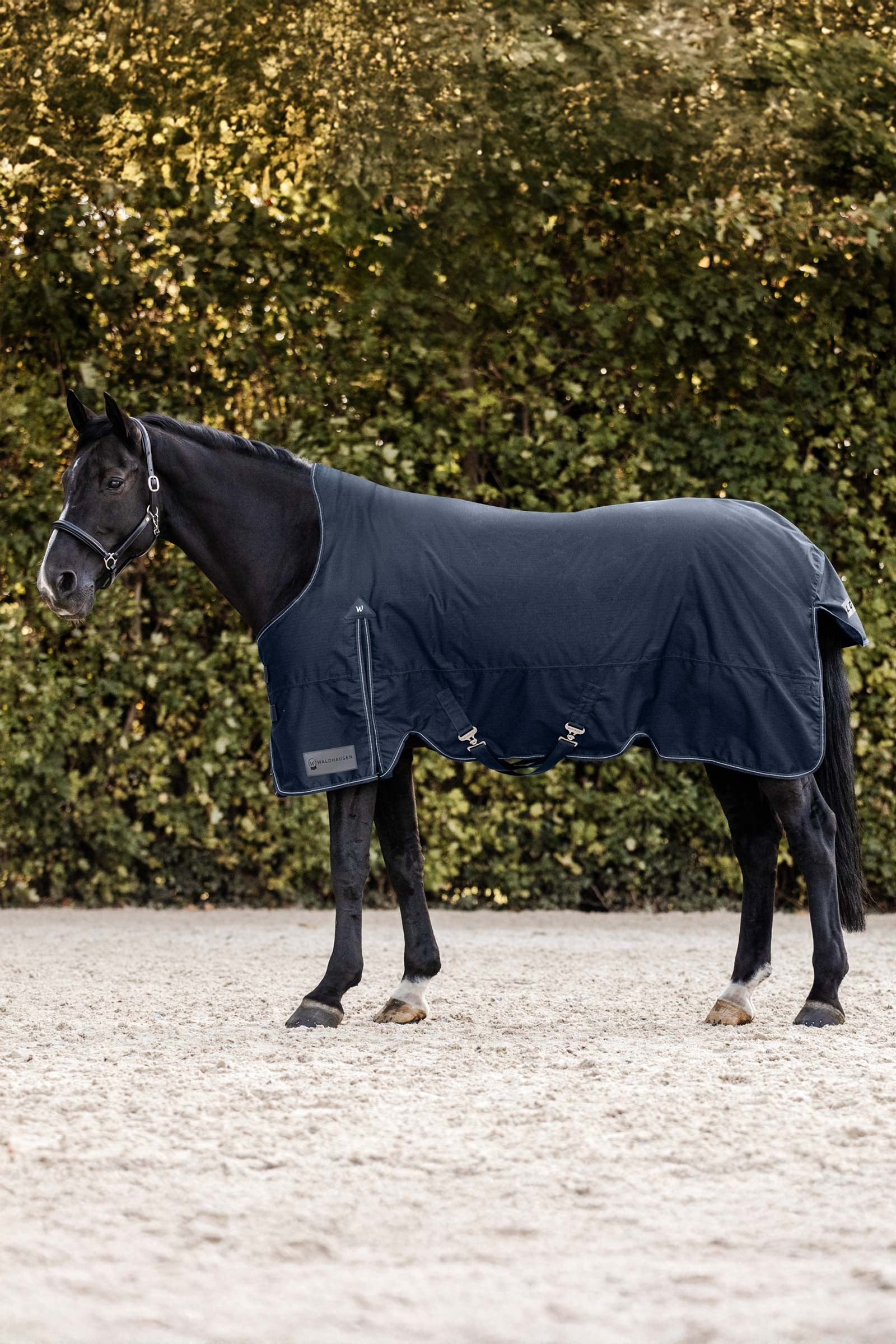 Waldhausen Arctic Coperta da turnout leggera con collo alto, 0 g Coperte per cavalli
