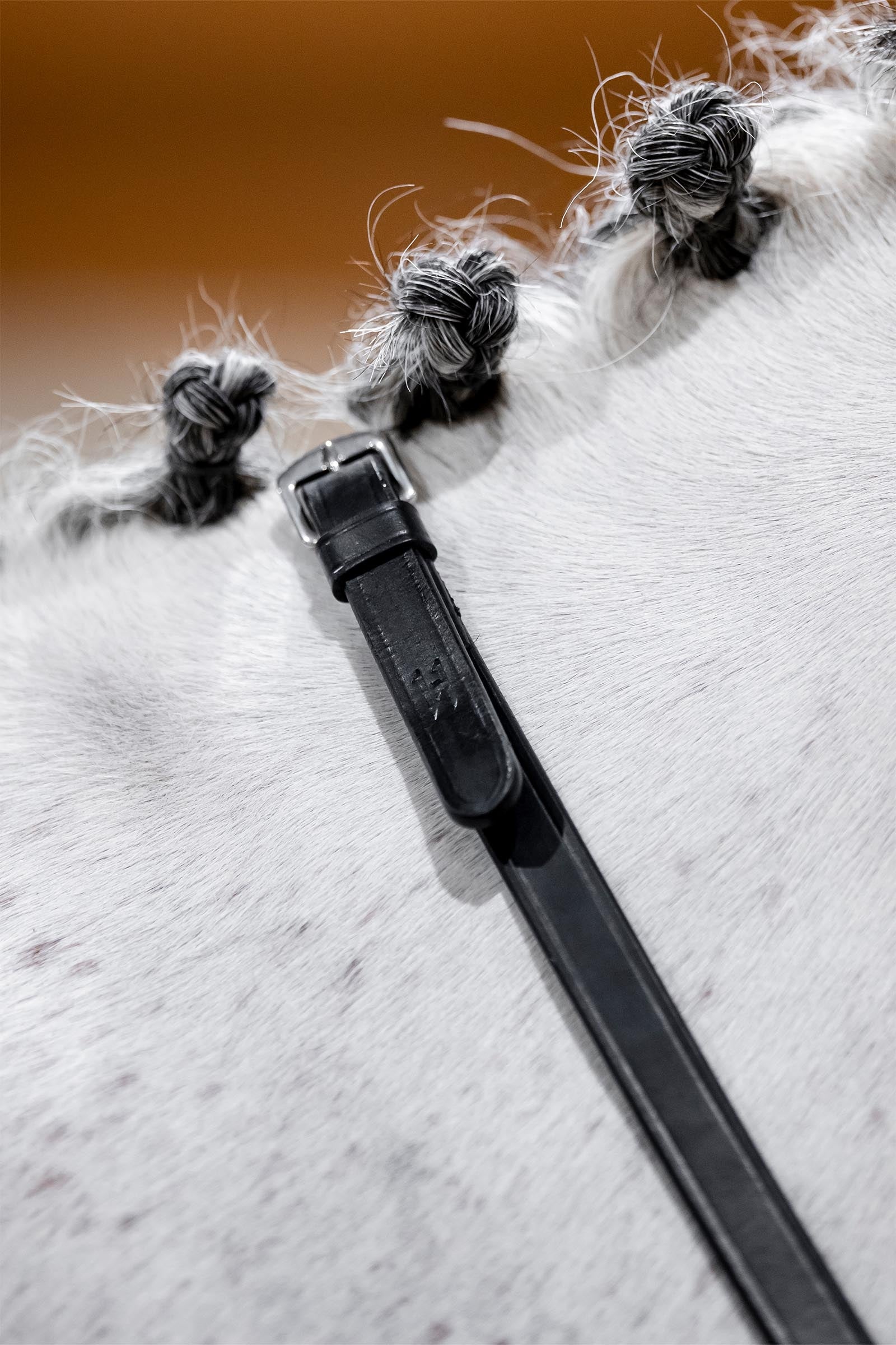 Horseware redini da morso Briglie & redini