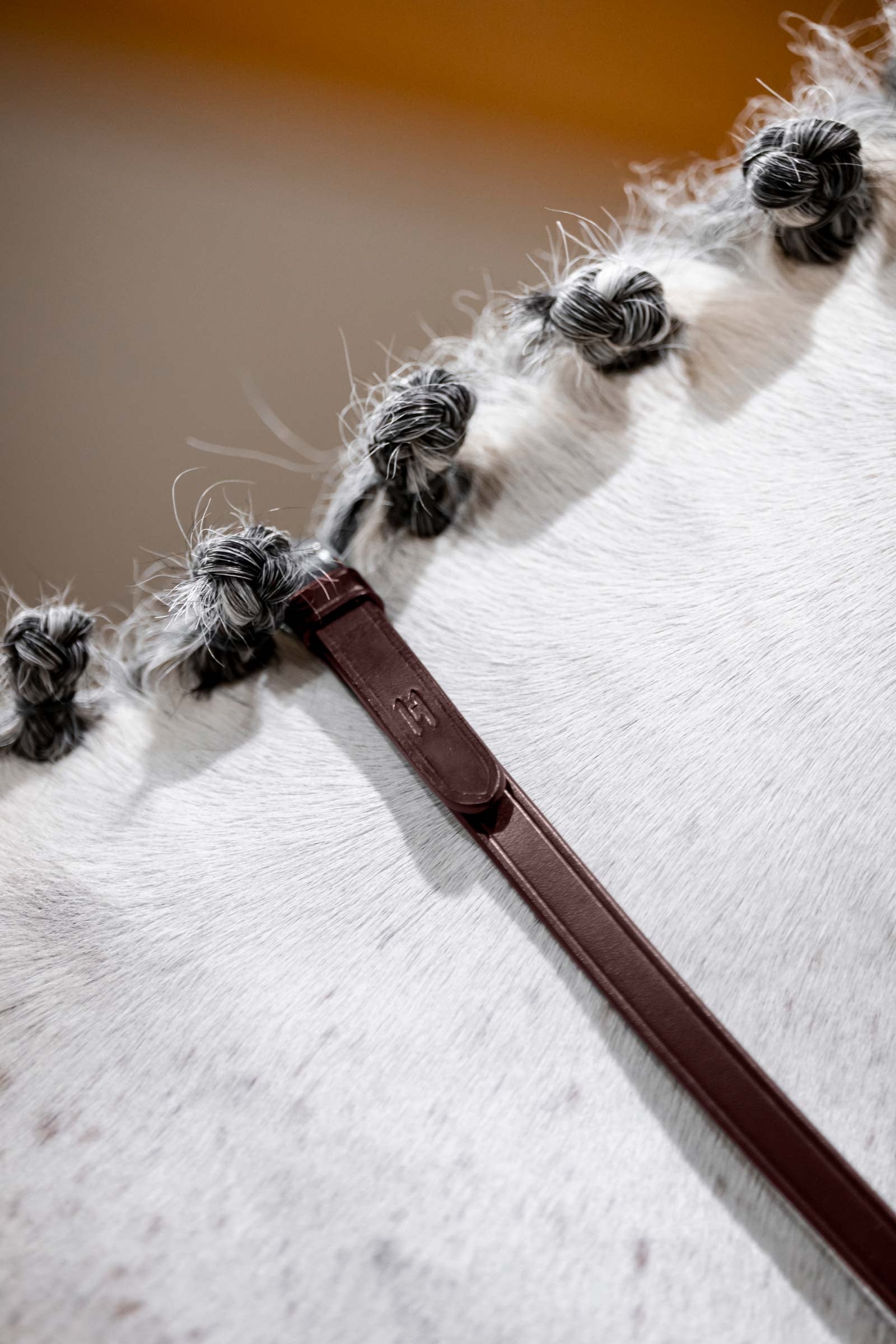 Horseware redini da morso Briglie & redini