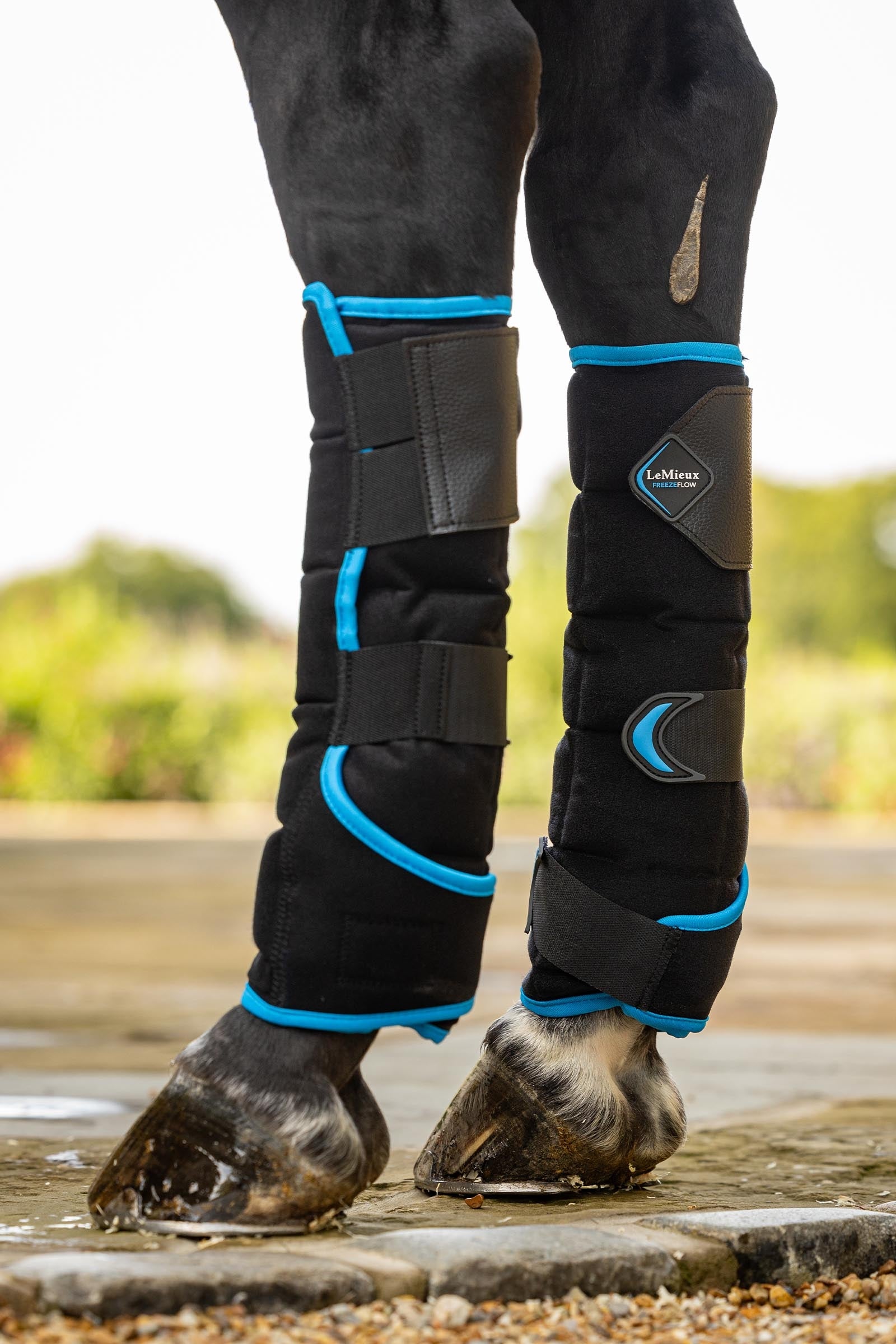 LeMieux Freeze Flow stivali refrigeranti posteriori Leg & Hoof Protection