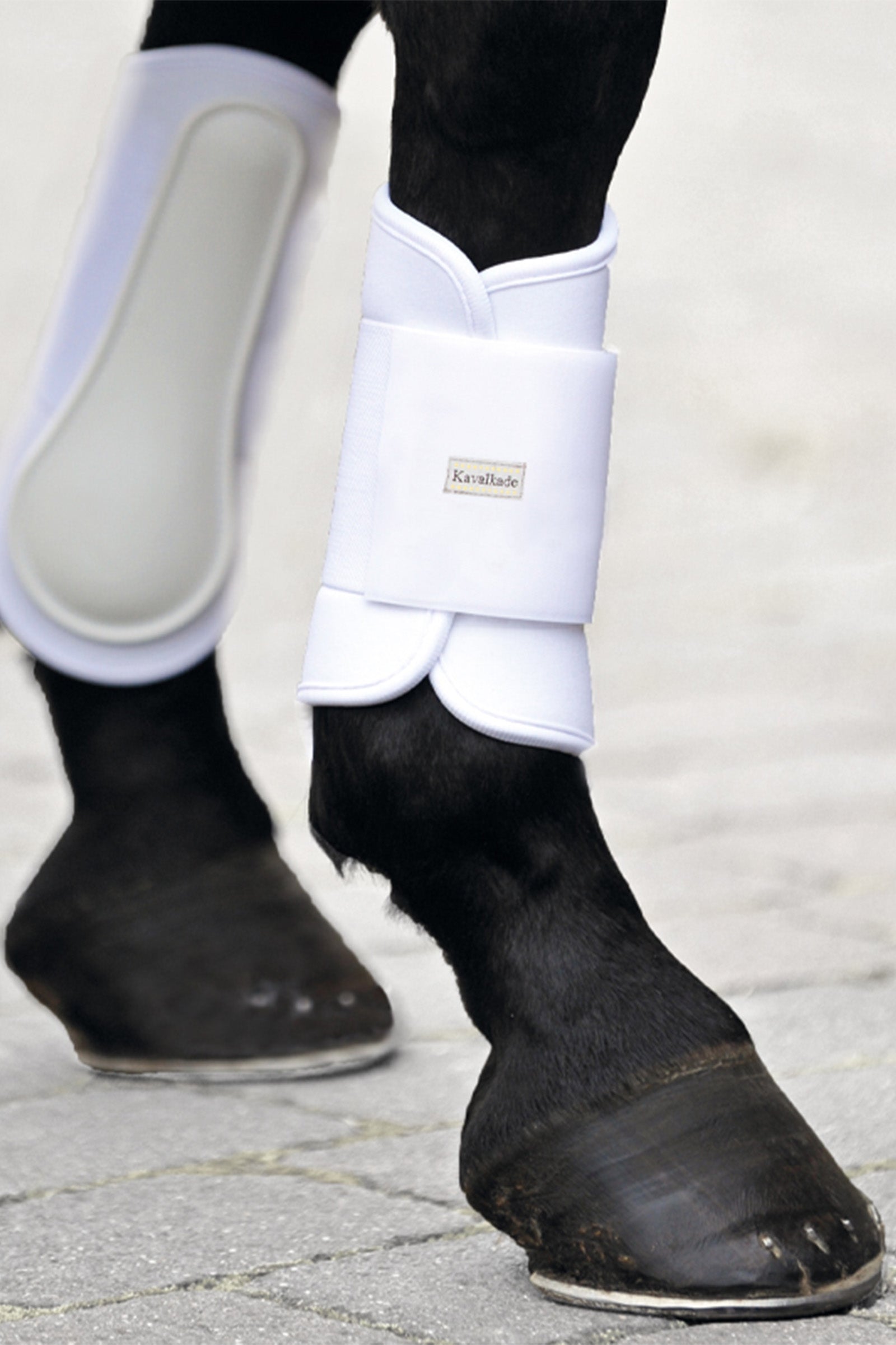Kavalkade Stivali KavalPren Softy Brushing, davanti