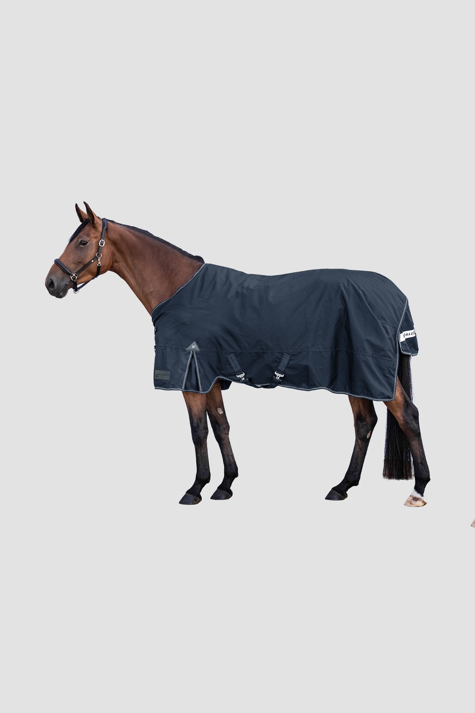 Waldhausen Arctic Outdoor Rug, 100 g Coperte per cavalli