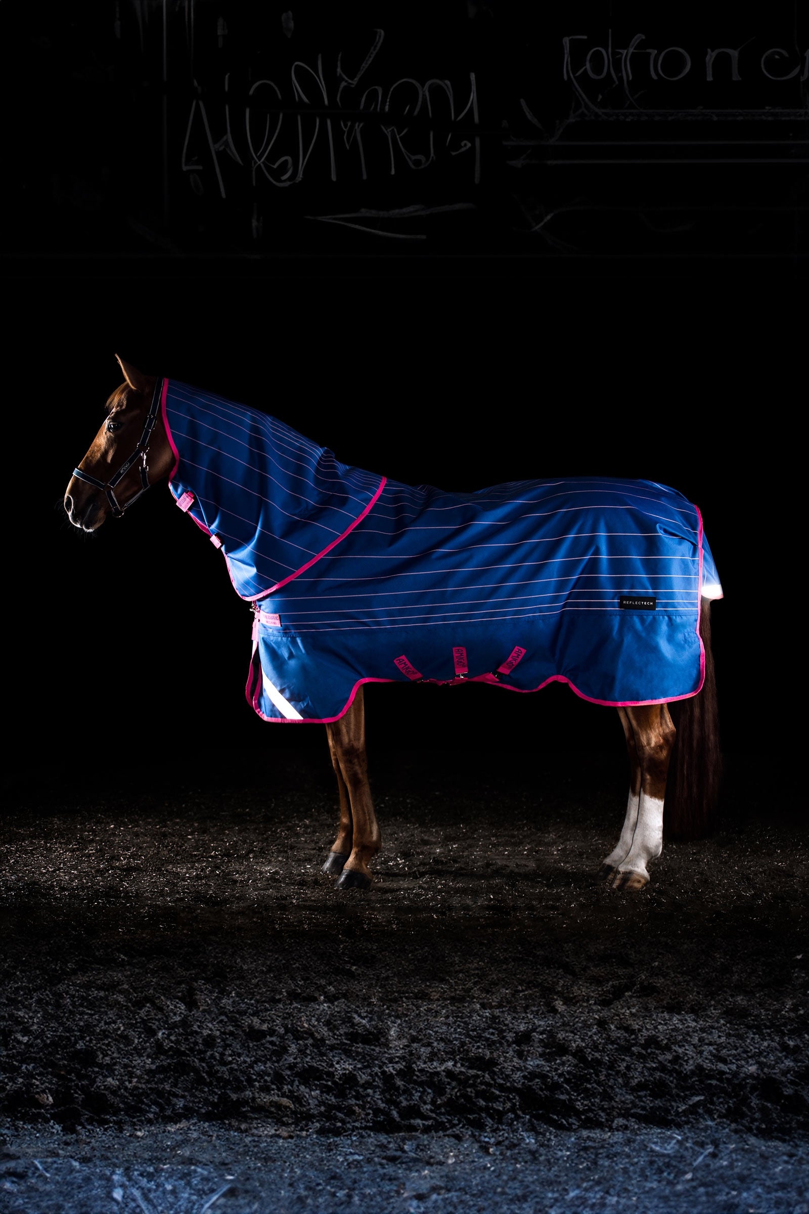 Horseware Amigo Bravo 12 Reflectech Plus coperta da turnout con collo staccabile, 250g Coperte per cavalli