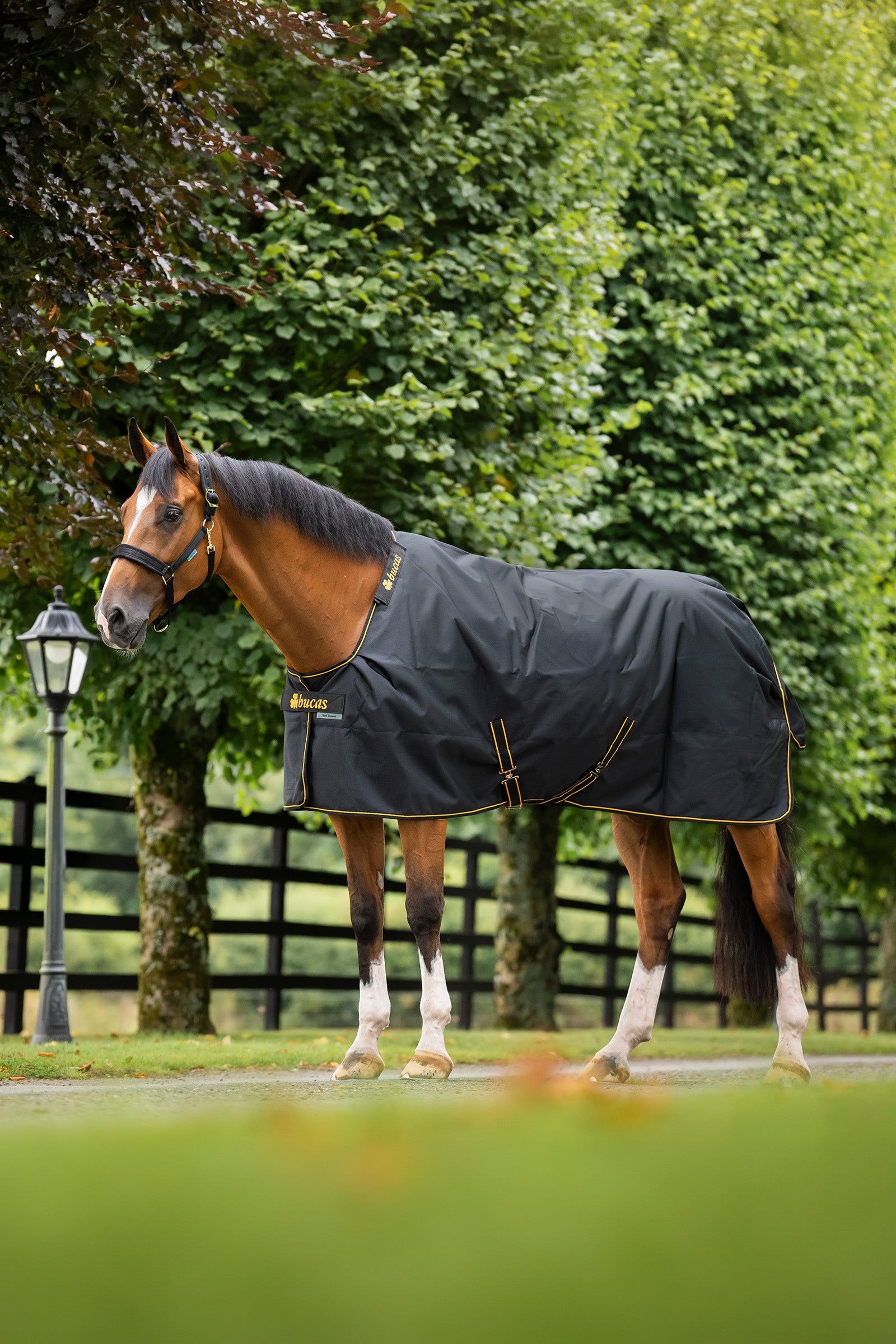 Bucas Irish Turnout Rug 0g Horse Rugs