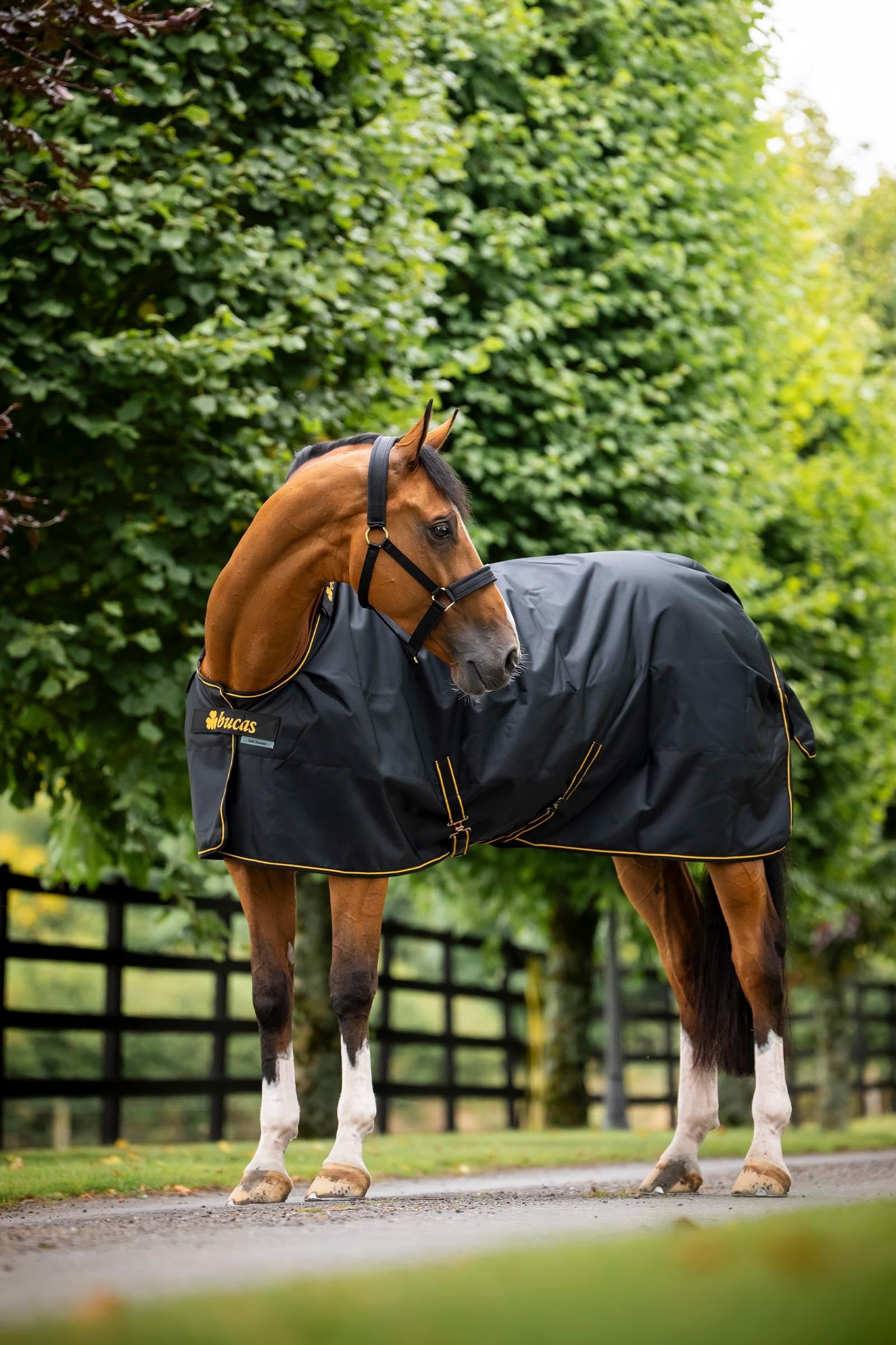 Bucas Irish Turnout Rug 0g Horse Rugs