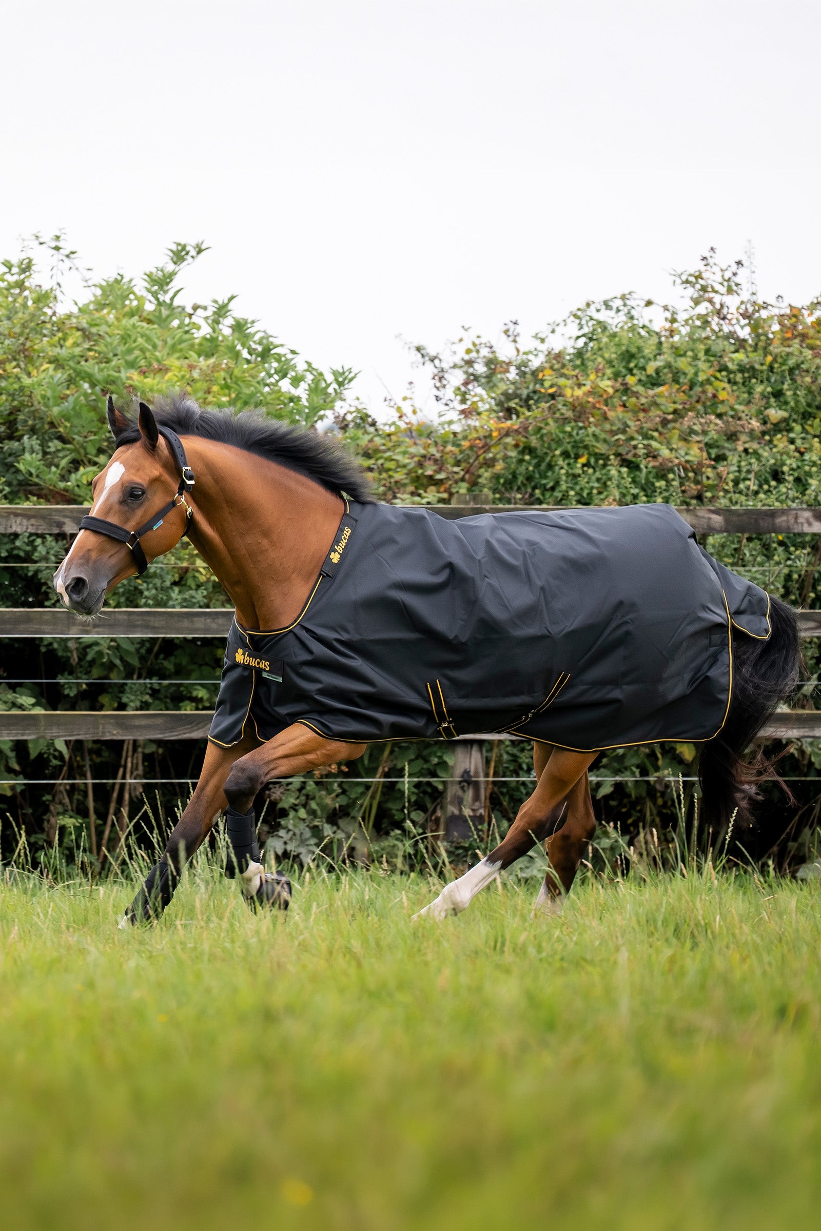 Bucas Irish Turnout Rug 0g Horse Rugs