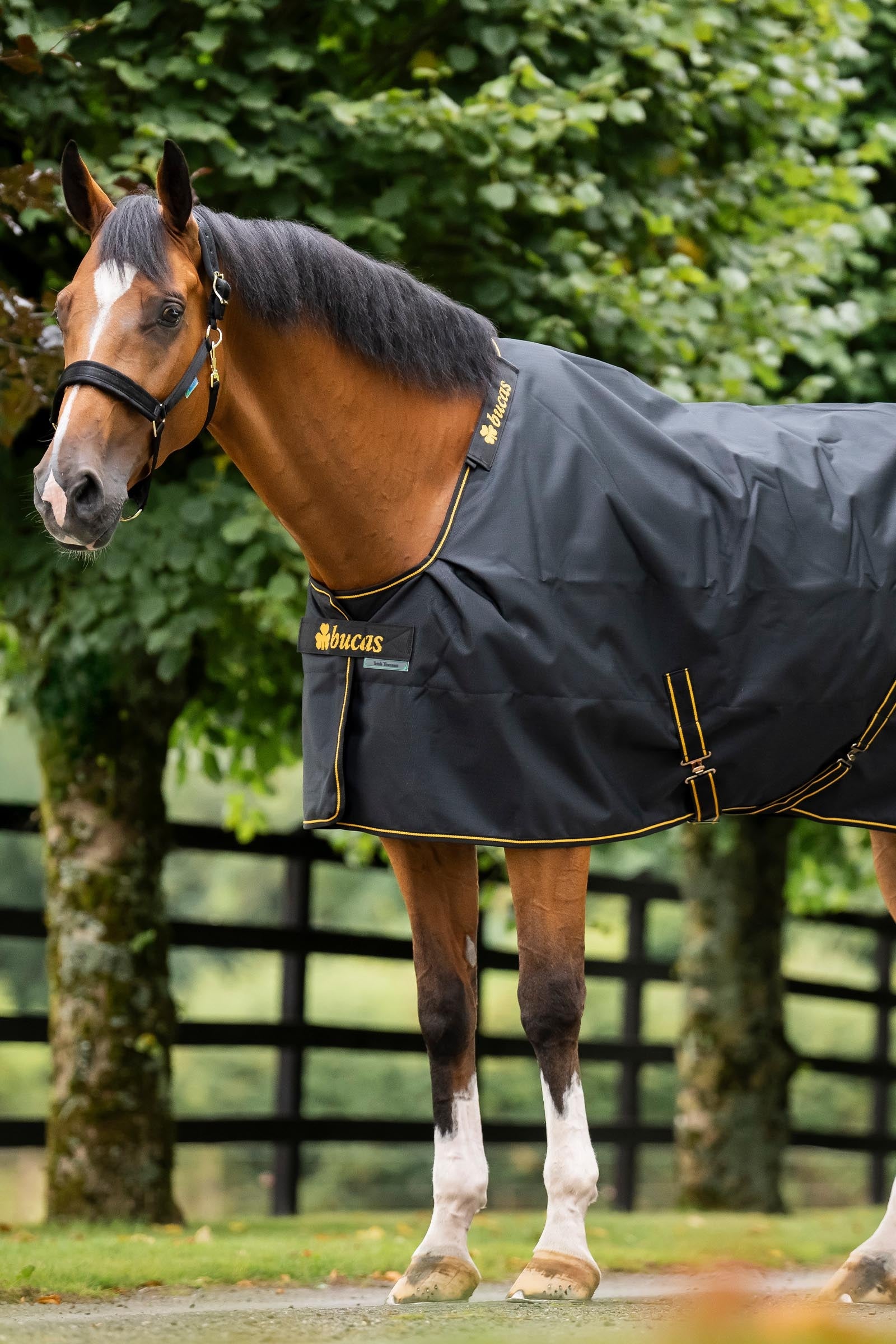 Bucas Irish Turnout Rug 0g Horse Rugs