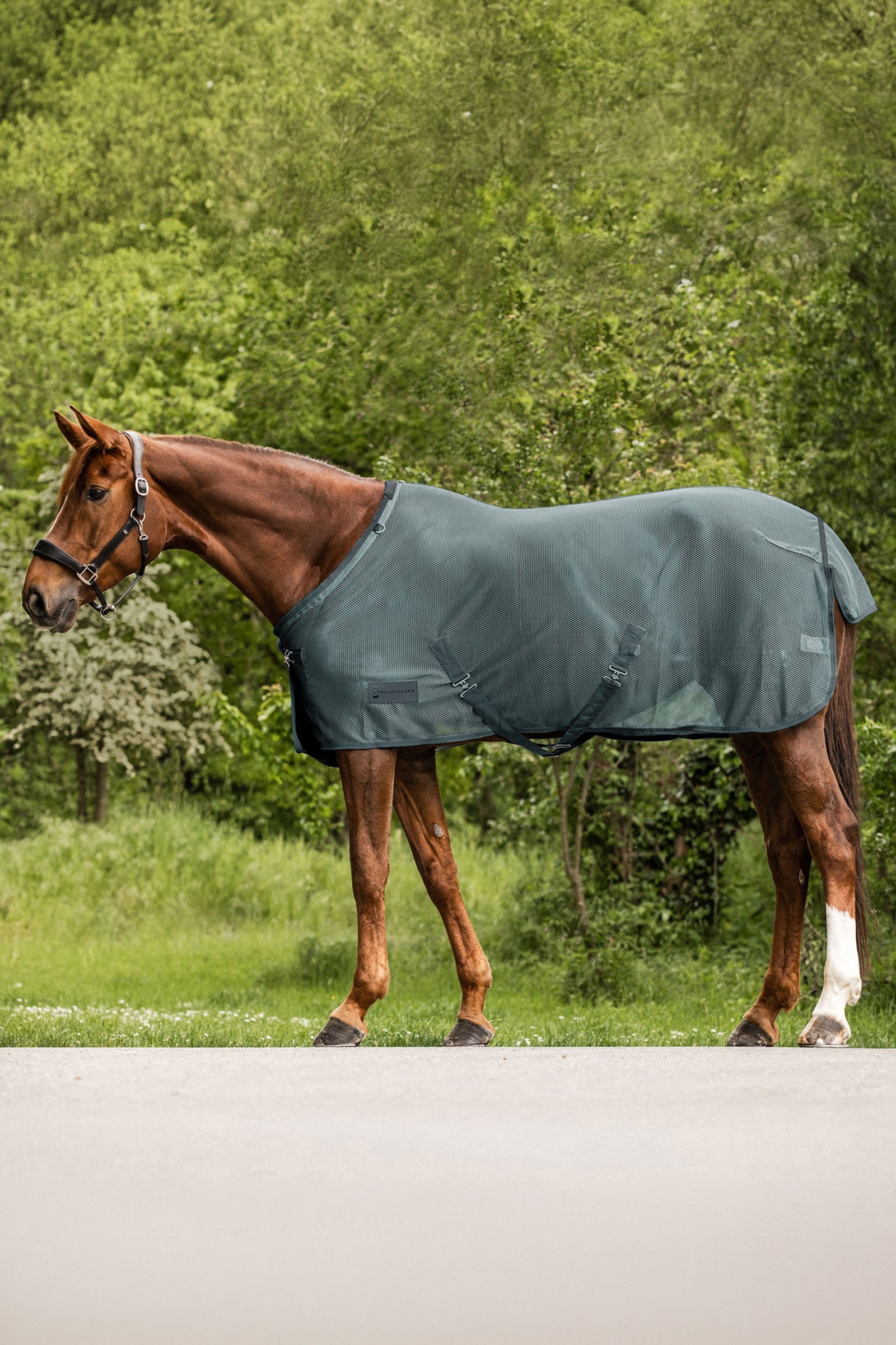Waldhausen Comfort coperta antimosche Coperte per cavalli