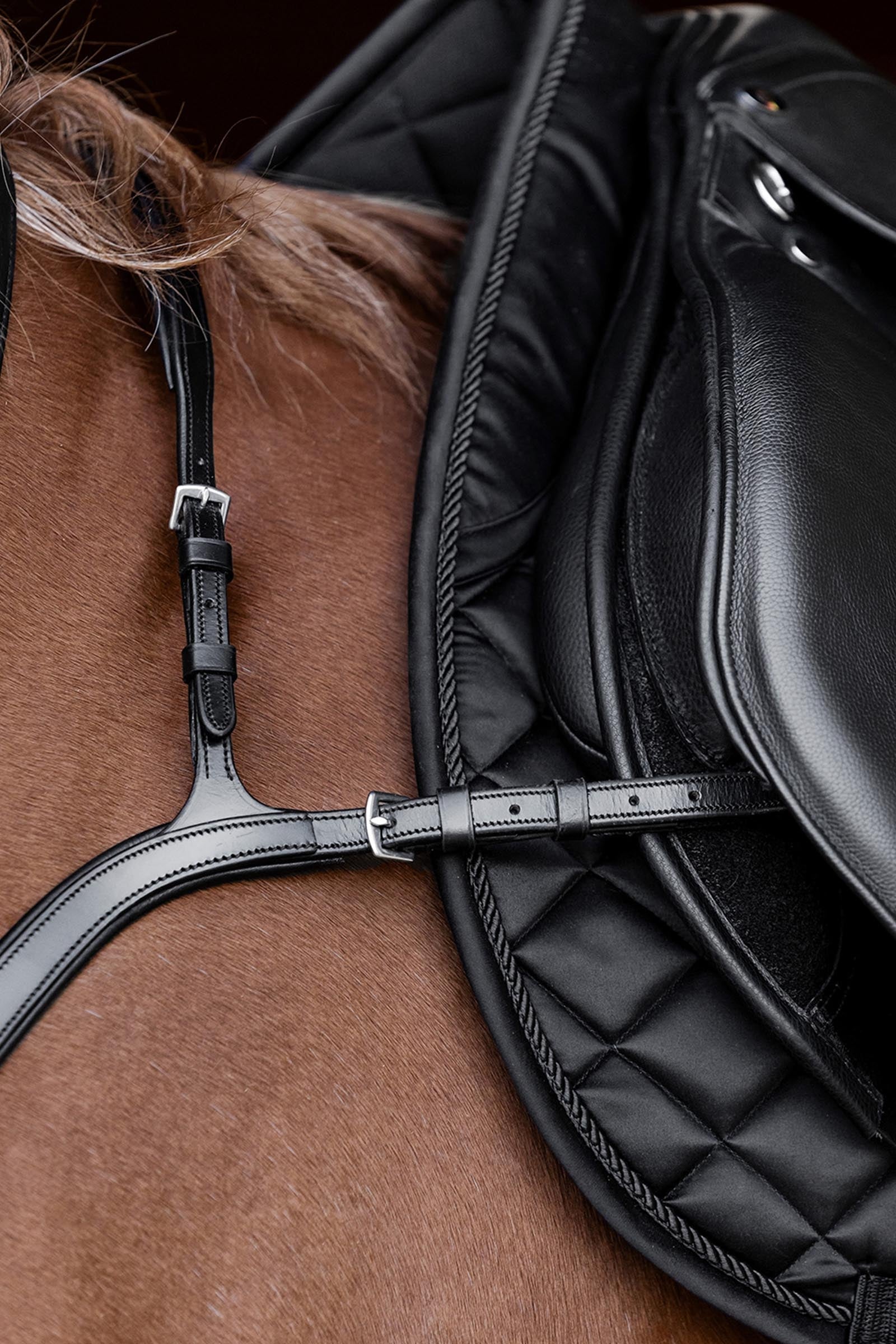 Waldhausen X-Line Breastplate With Long Bridge Bridles & Reins