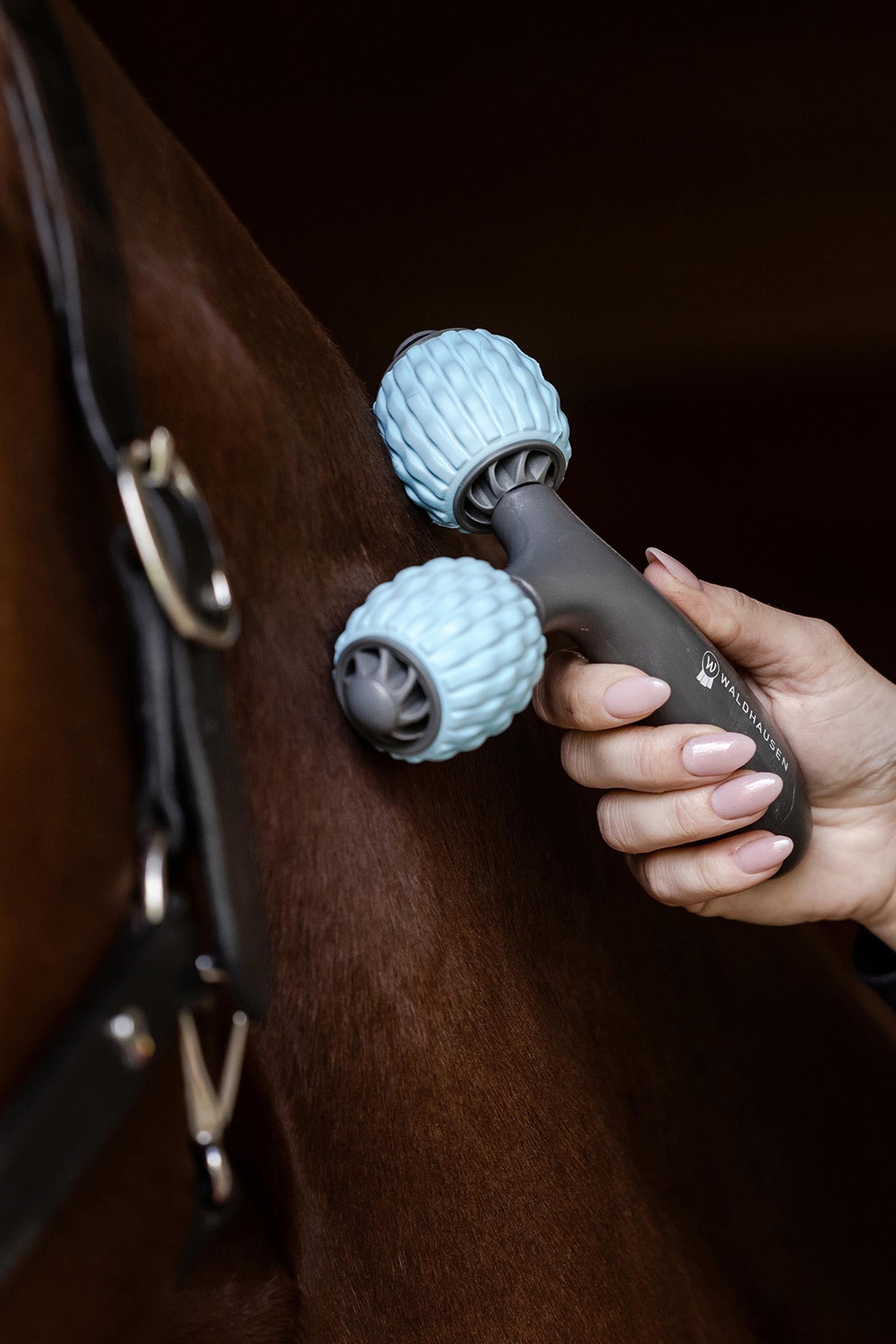 Waldhausen Health + Care Comfort Creator Horse Health Care