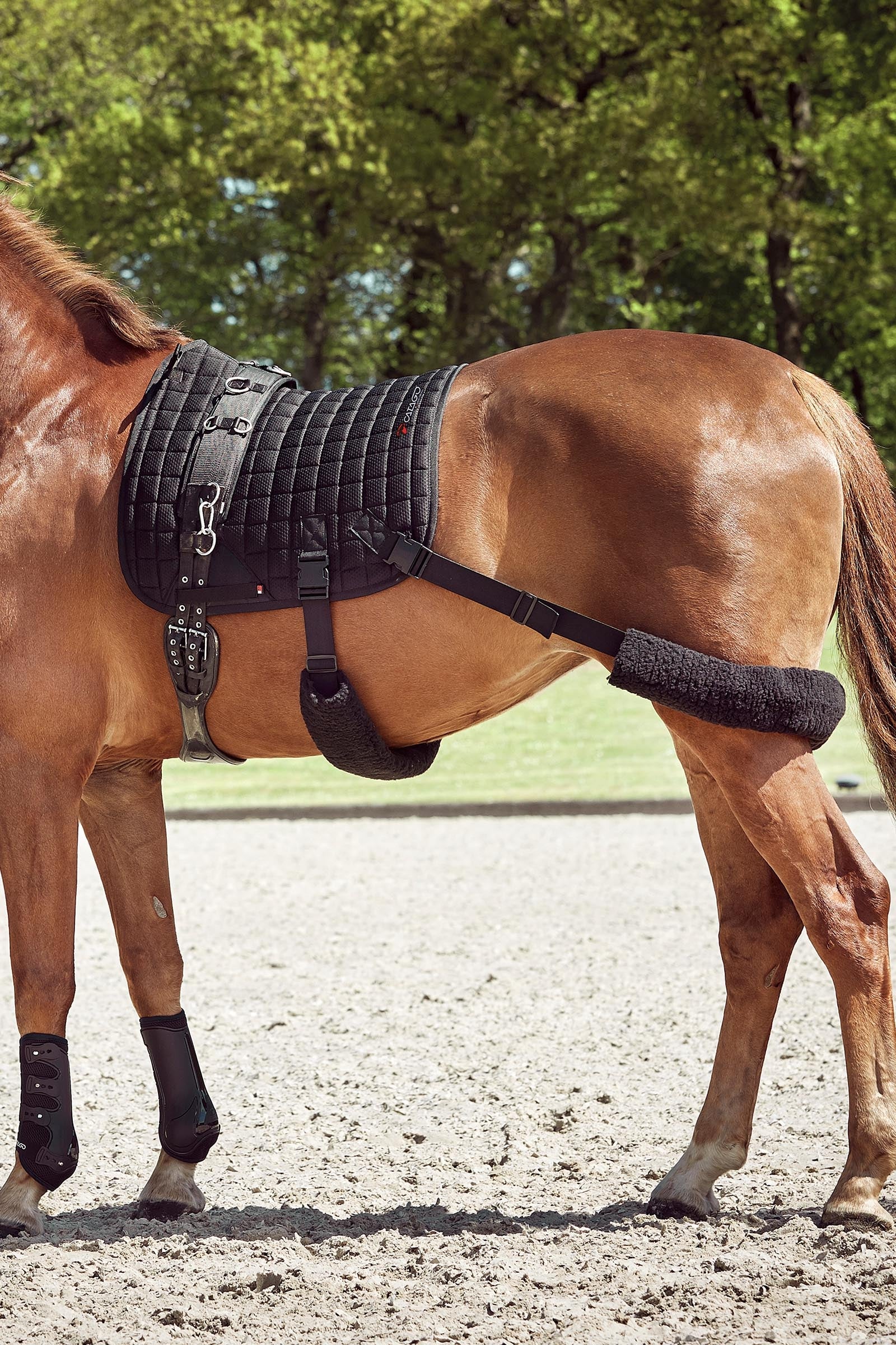 Catago FIR-Tech Training Saddle Pad With Elastic Straps Saddle Pads