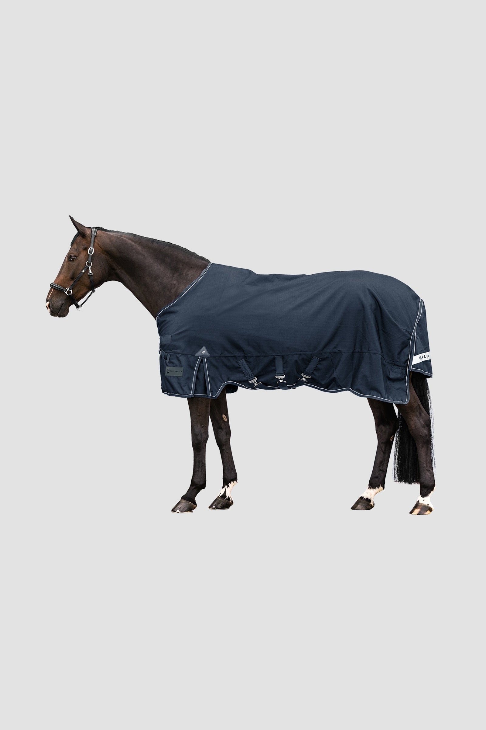 Waldhausen Outdoor Rug Scandic Multi-Layer 250 g/100 g Coperte per cavalli