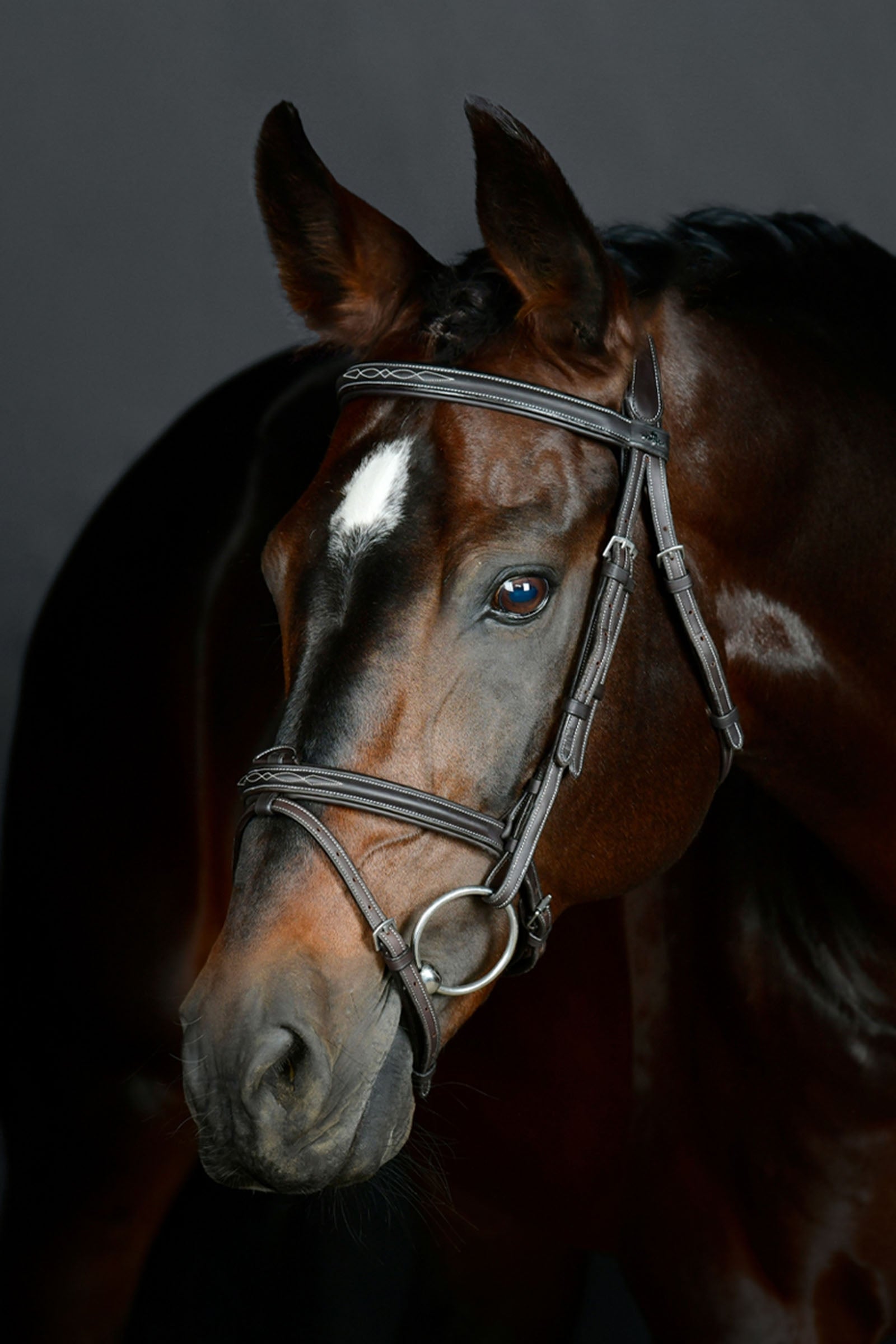 Collegiate Comfitec Opulux Fancy Stitch testiera hanoveriana imbottita Briglie & redini