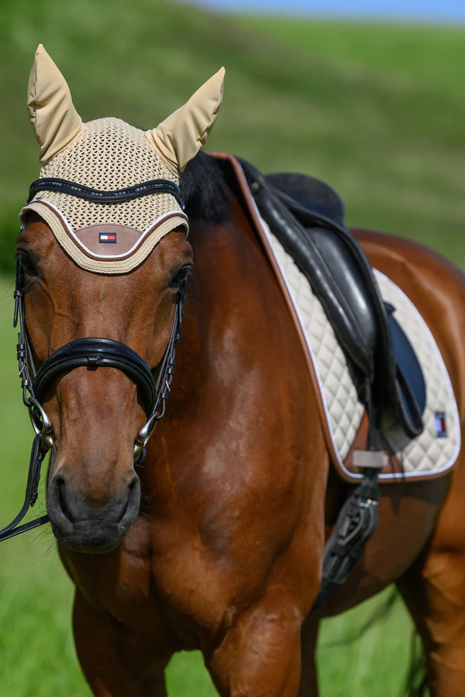 Tommy Hilfiger Equestrian Princeton Fly Hood Saddle Pads