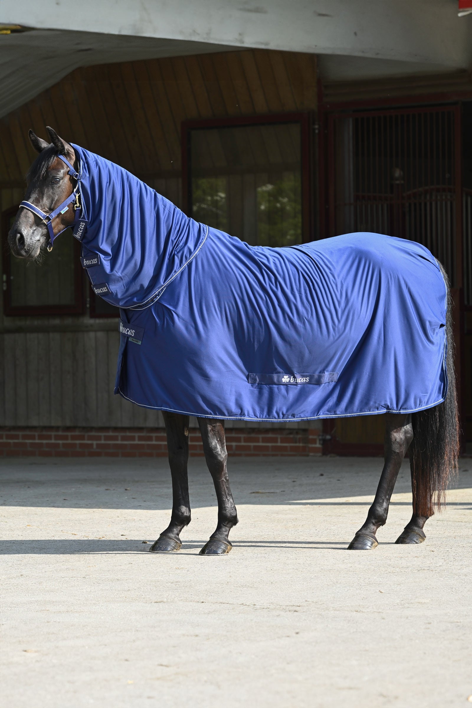 Bucas Power coperta da asciugatura + set colletto Coperte per cavalli