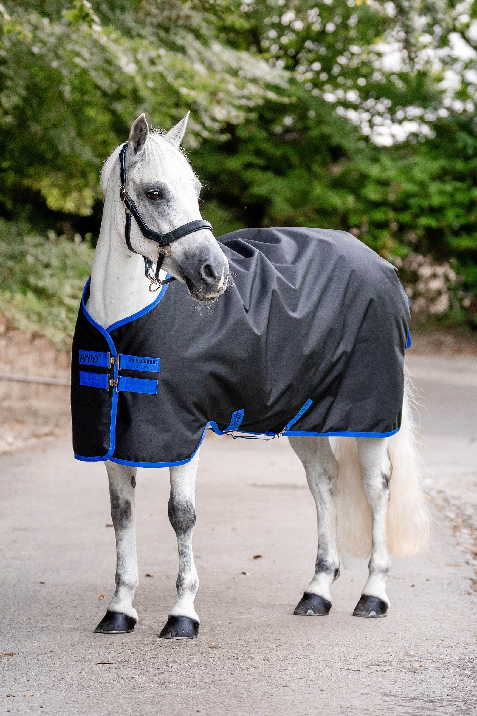 Horseware Amigo Coperta da turnout leggera Ripstop 900D, 0g Coperte per cavalli
