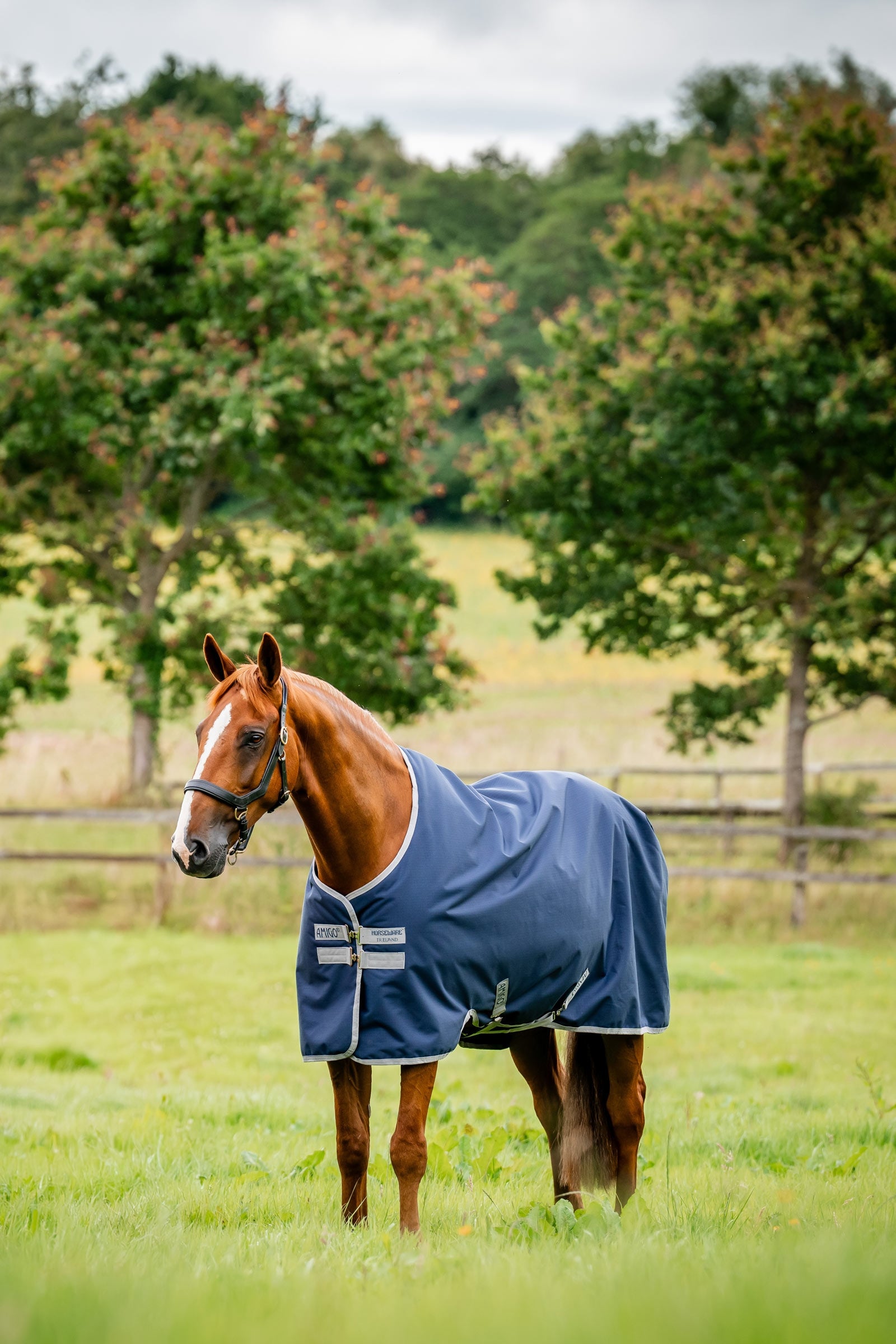 Horseware Amigo Coperta da turnout leggera Ripstop 900D, 0g Coperte per cavalli