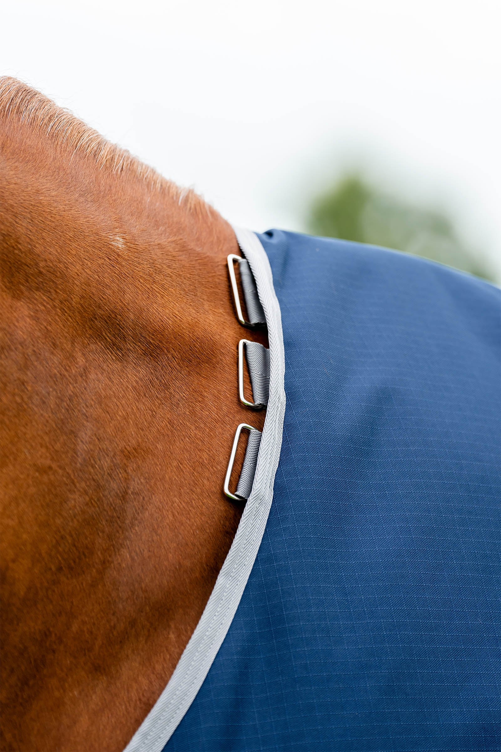 Horseware Amigo Ripstop 900D Turnout 0g Horse Rugs