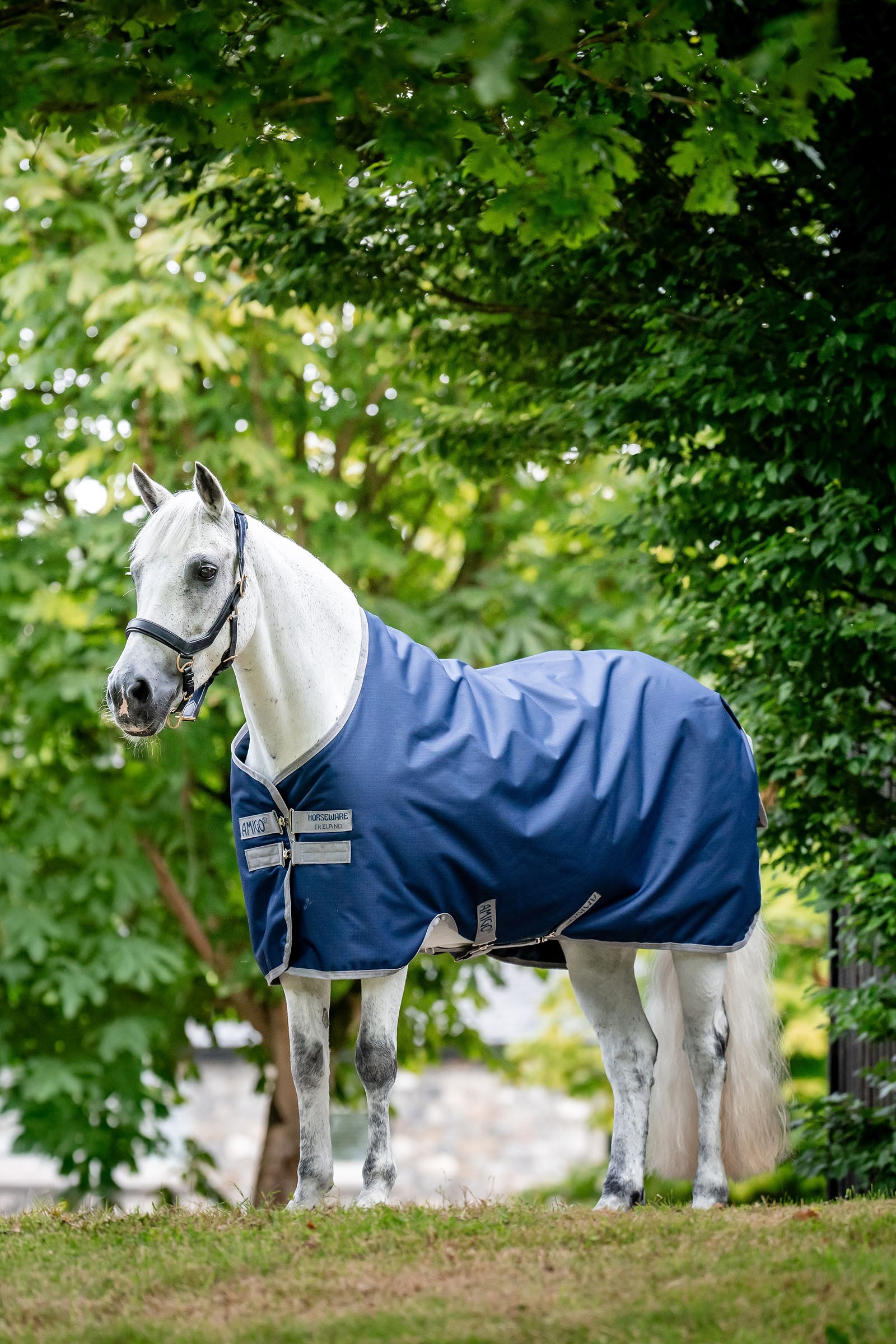 Horseware Amigo Coperta da turnout leggera Ripstop 900D, 0g Coperte per cavalli