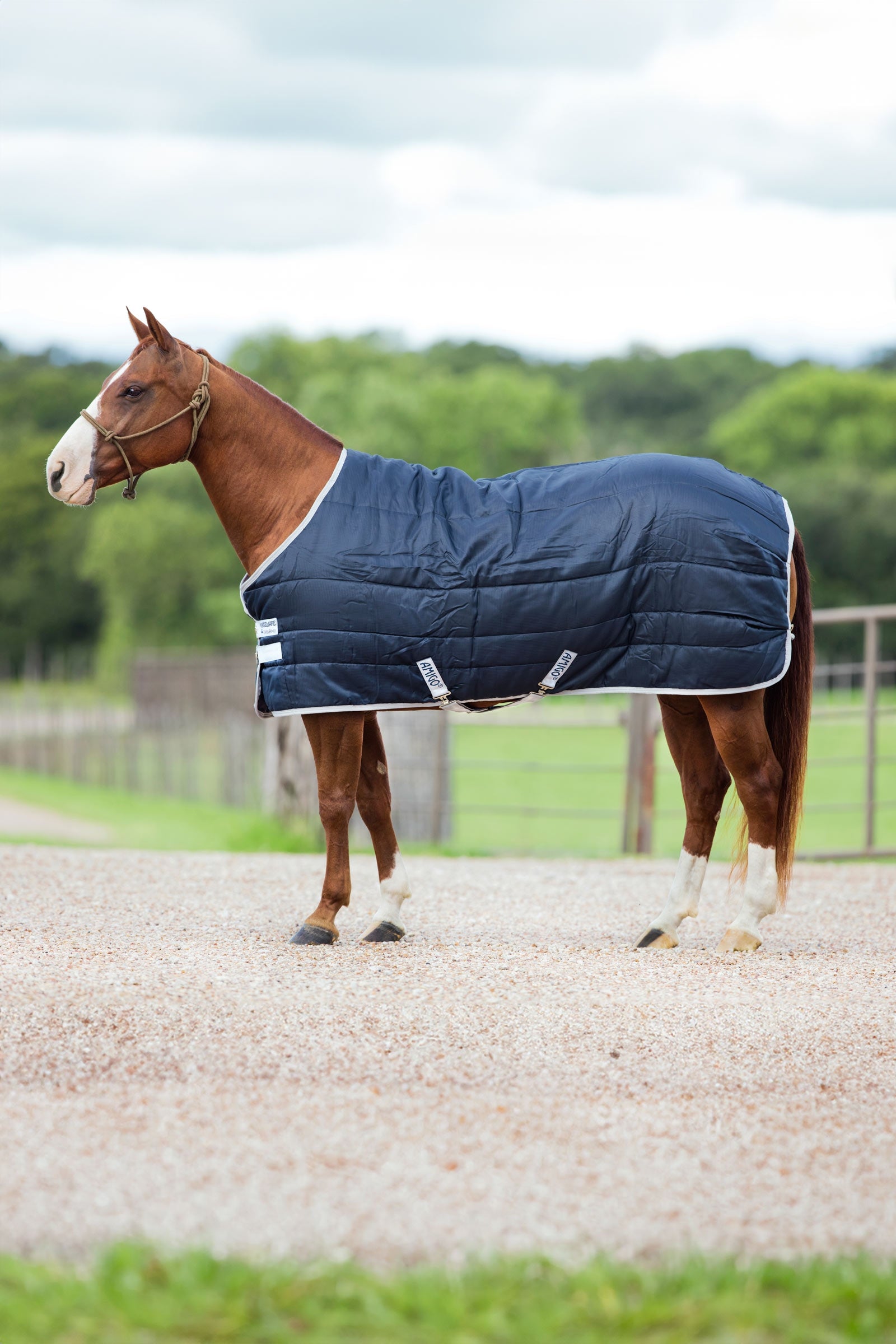 Horseware Amigo Insulator coperta da stalla, 200g Coperte per cavalli