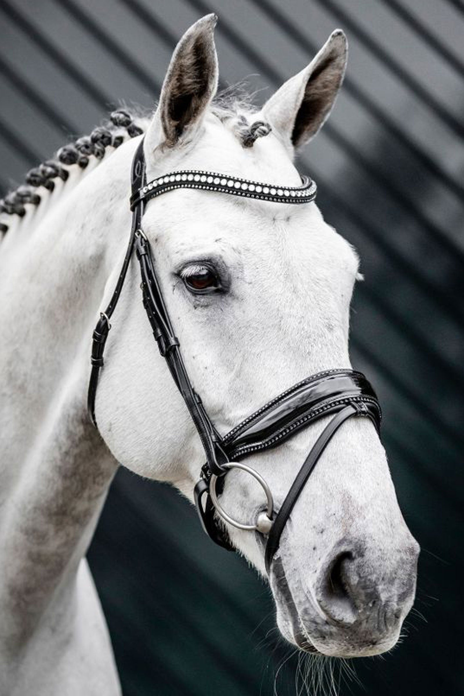 Horseware Diamante briglia con capezzina combinata Briglie & redini