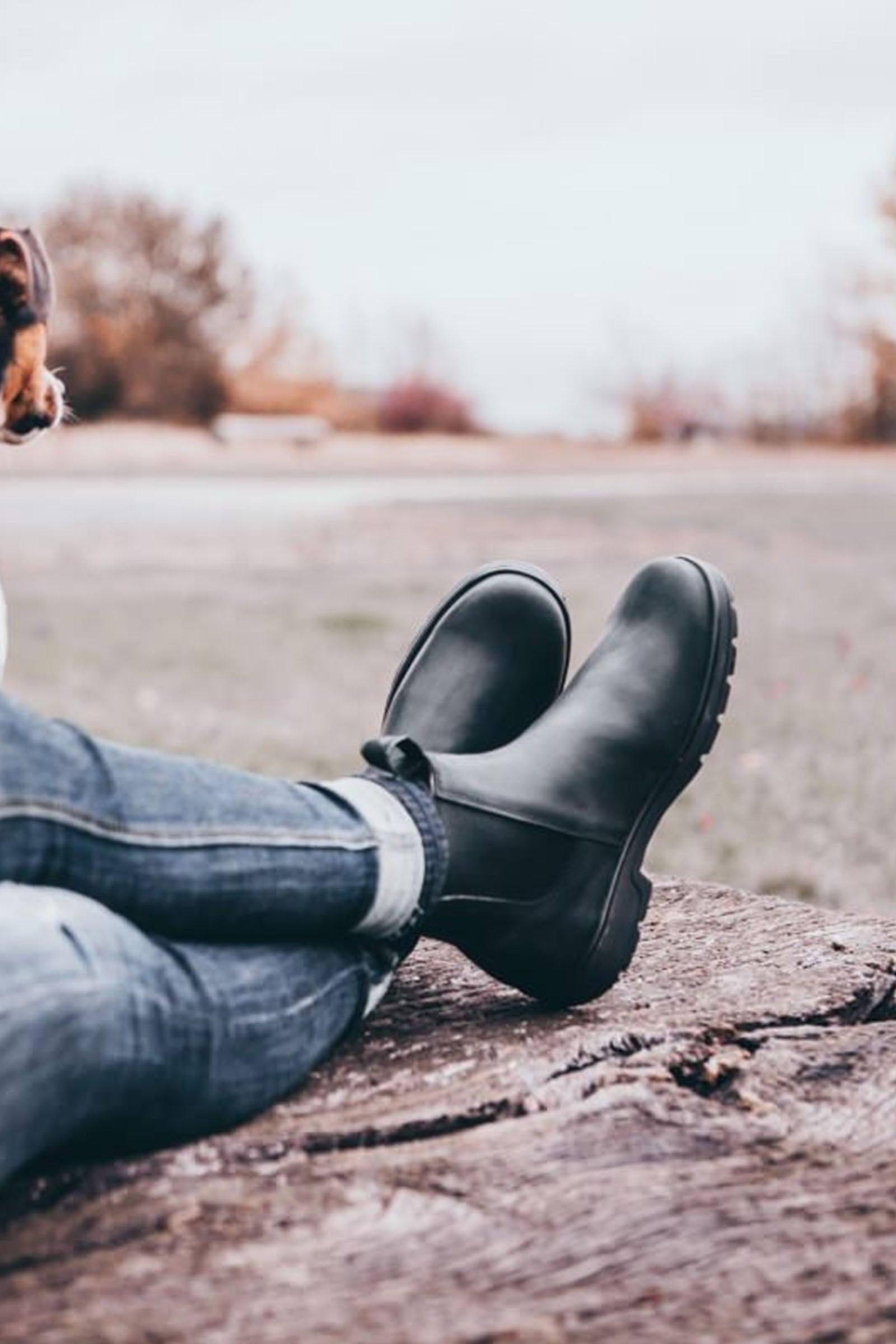 Suedwind Footwear 1888 Chelsea Jodhpur Boots Riding Boots & Riding Shoes