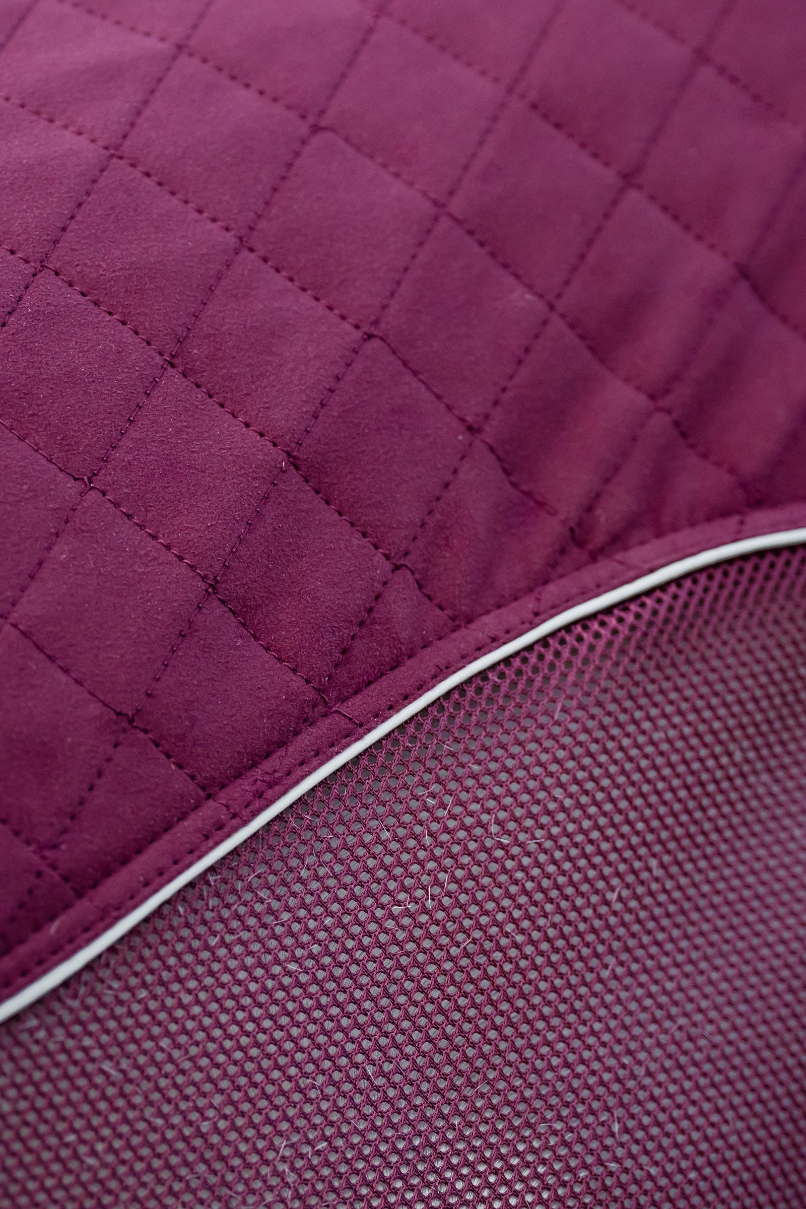 Horseware Signature Travel Cooler Horse Rugs