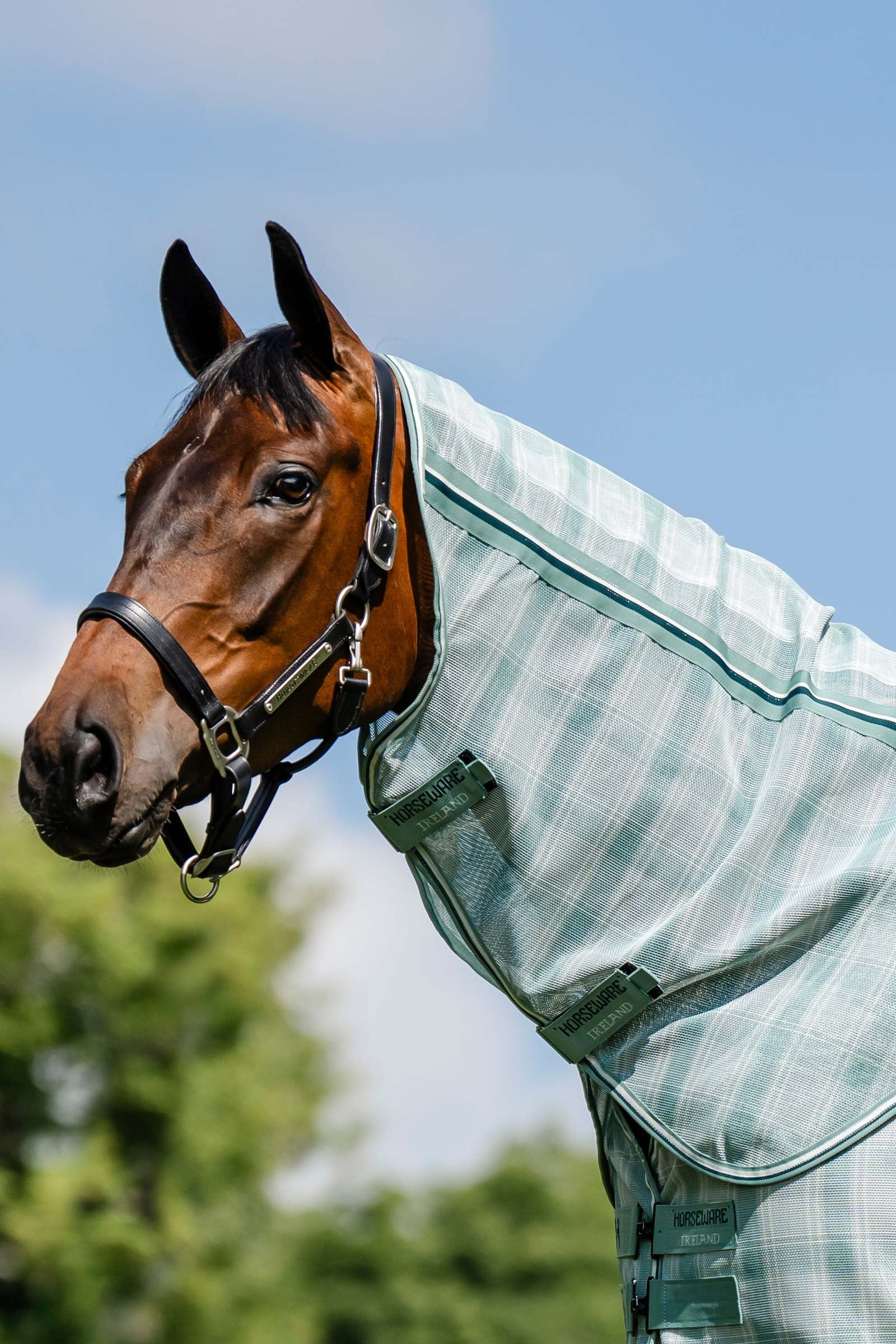 Horseware Newmarket copricollo per coperta antimosche con protezione UV Coperte per cavalli