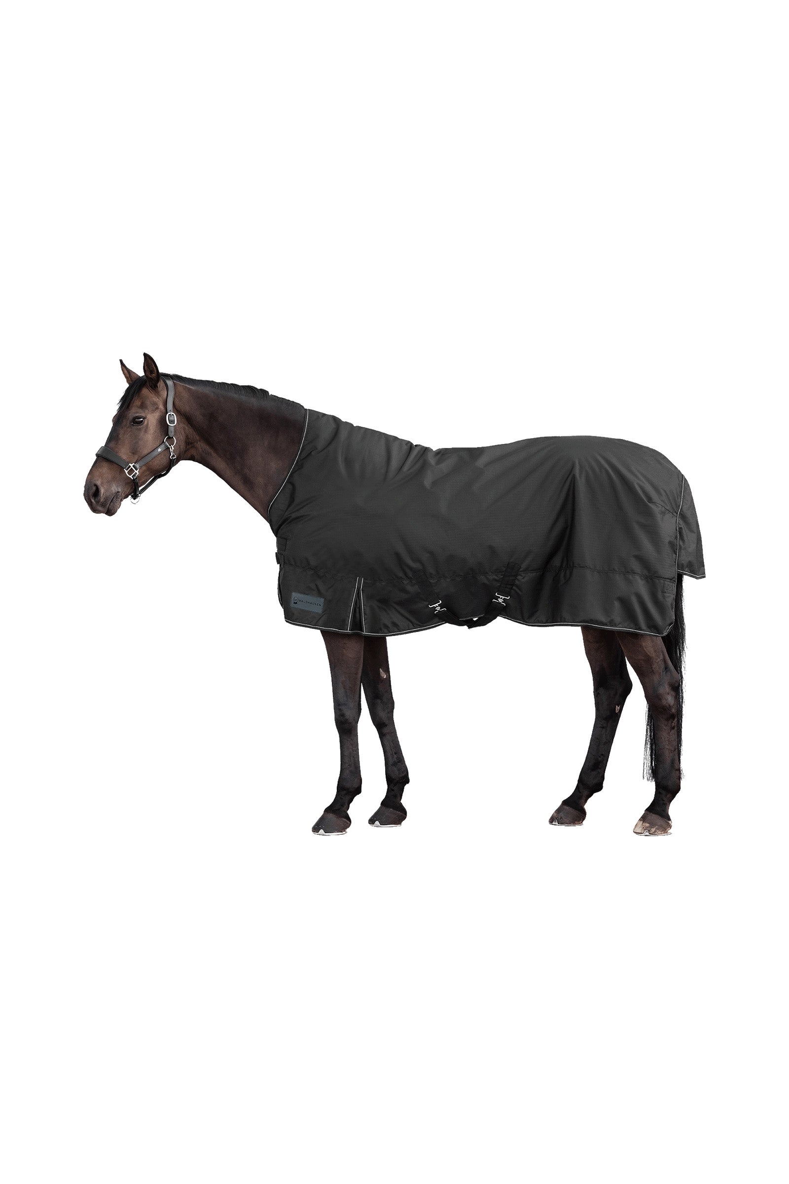 Waldhausen NORDIC 600D Coperta da Esterno con Collo Alto, 100 g Coperte per cavalli