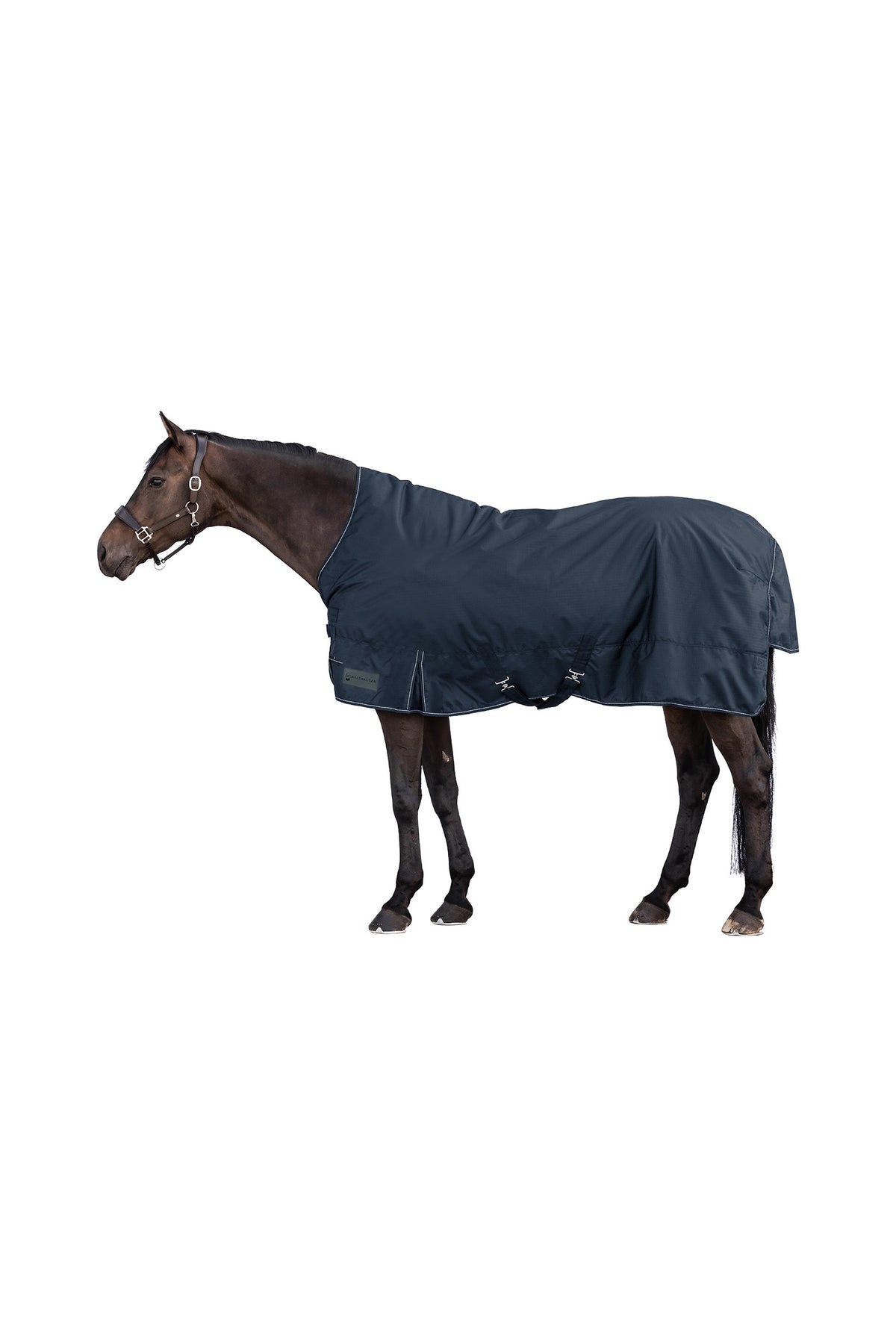 Waldhausen NORDIC 600D Coperta da Esterno con Collo Alto, 100 g Coperte per cavalli