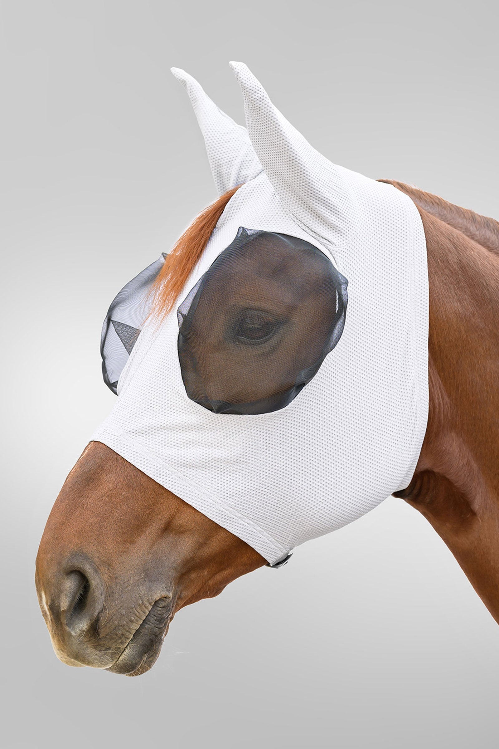 Waldhausen Breath Puck maschera antimosche con protezione UV Protezione antimosche per cavalli