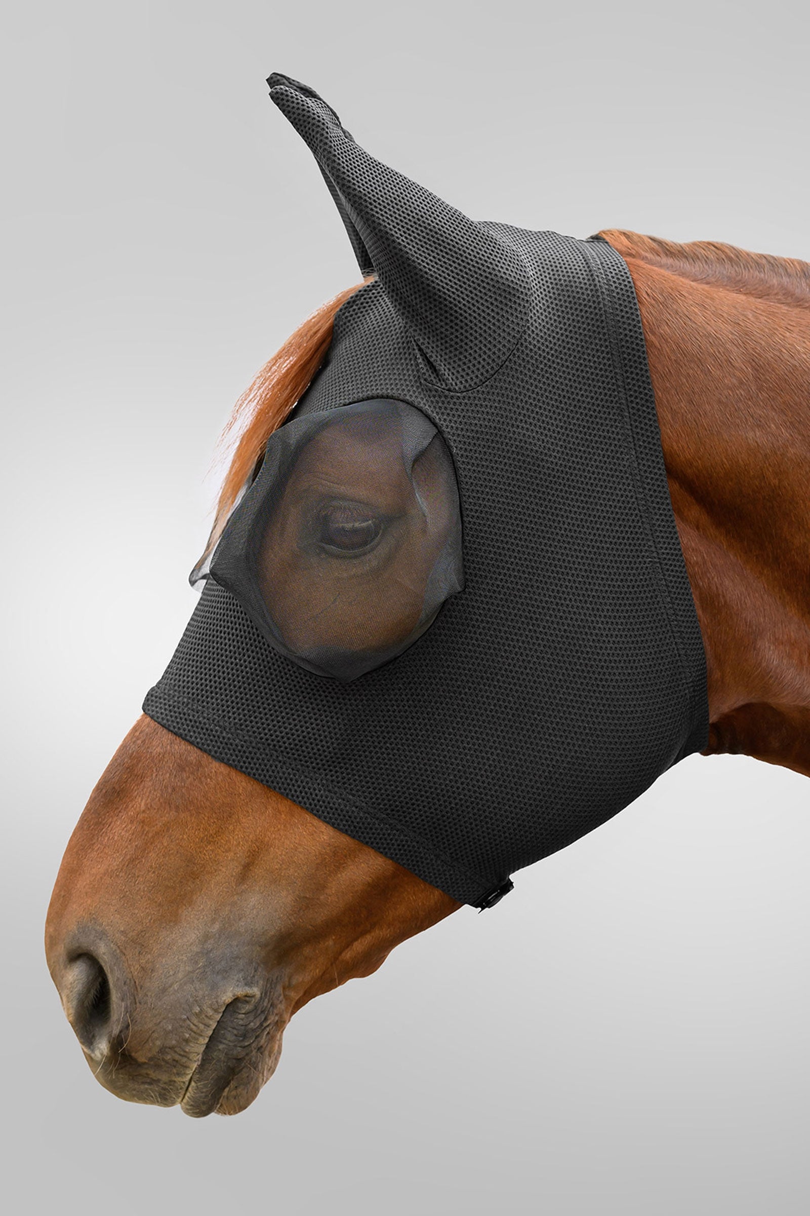 Waldhausen Breath Puck maschera antimosche con protezione UV Protezione antimosche per cavalli