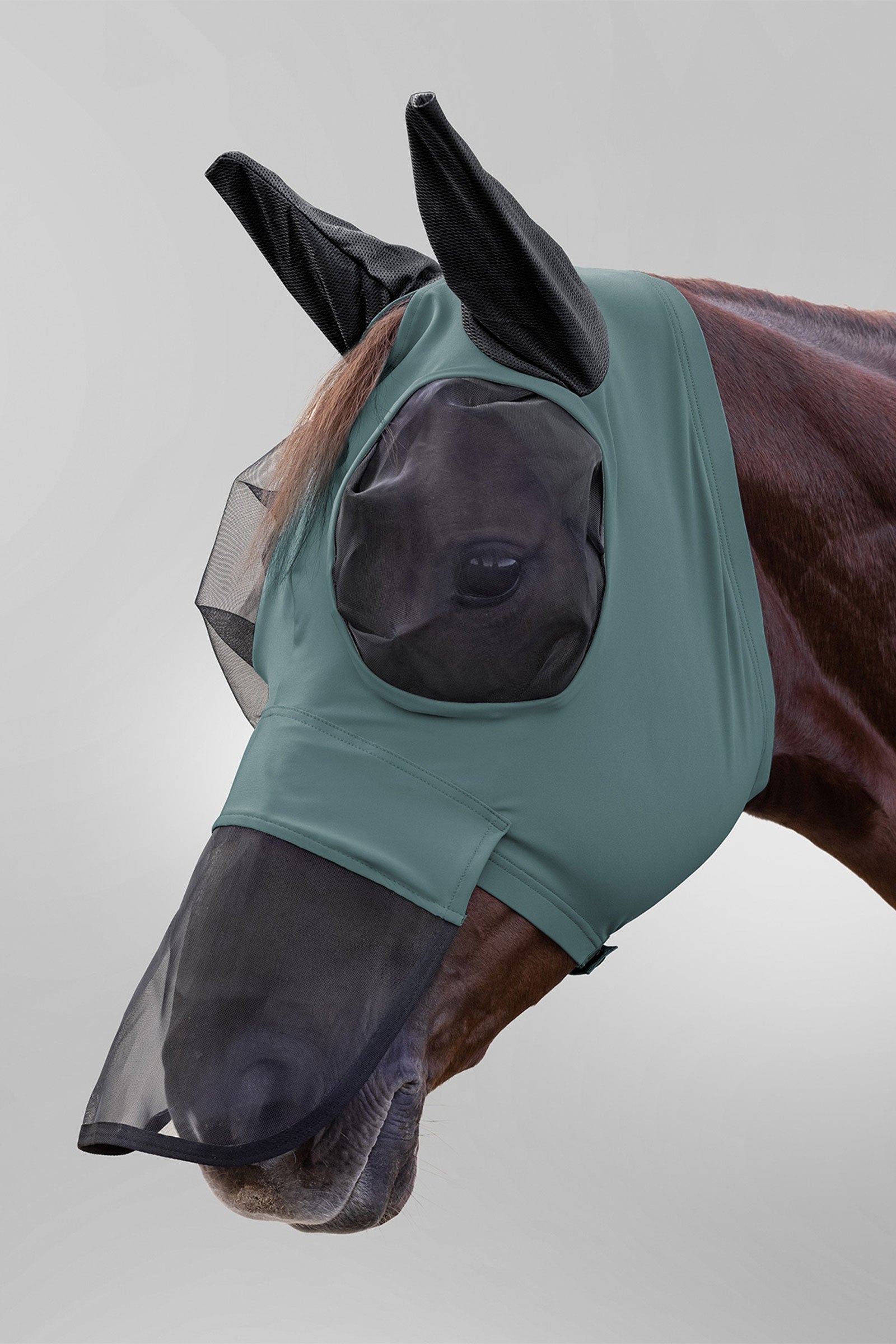 Waldhausen Puck maschera antimosche con protezione naso e protezione UV Protezione antimosche per cavalli
