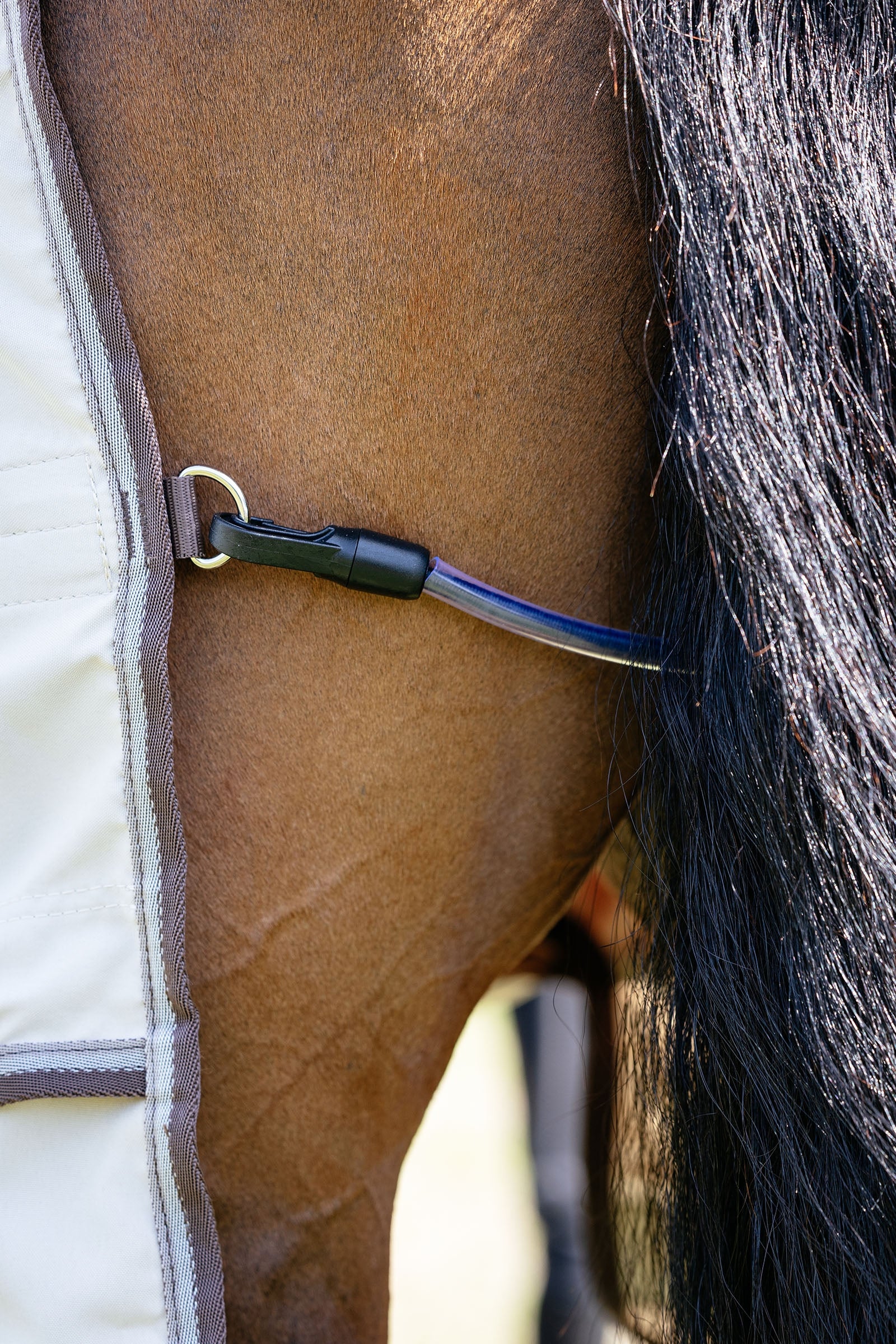 LeMieux Kudos Shower Pro Sweet Itch Rug With Detachable Neck Horse Rugs