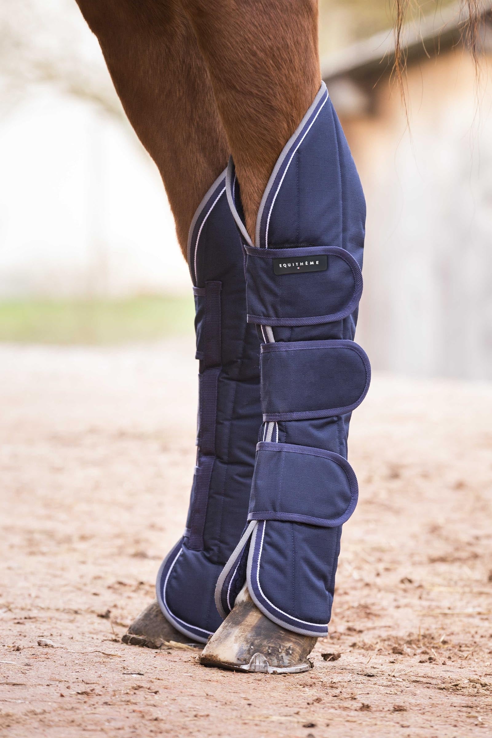 Equi Theme EQUITHÈME TYREX 600D paratendini da trasporto impermeabili Leg & Hoof Protection