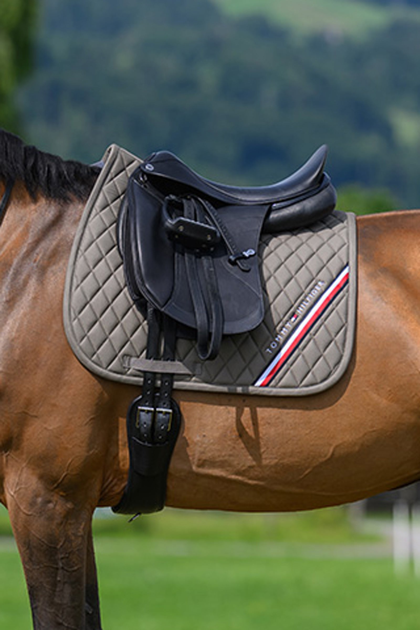 Tommy Hilfiger Equestrian Stanford sottosella da dressage Sottosella