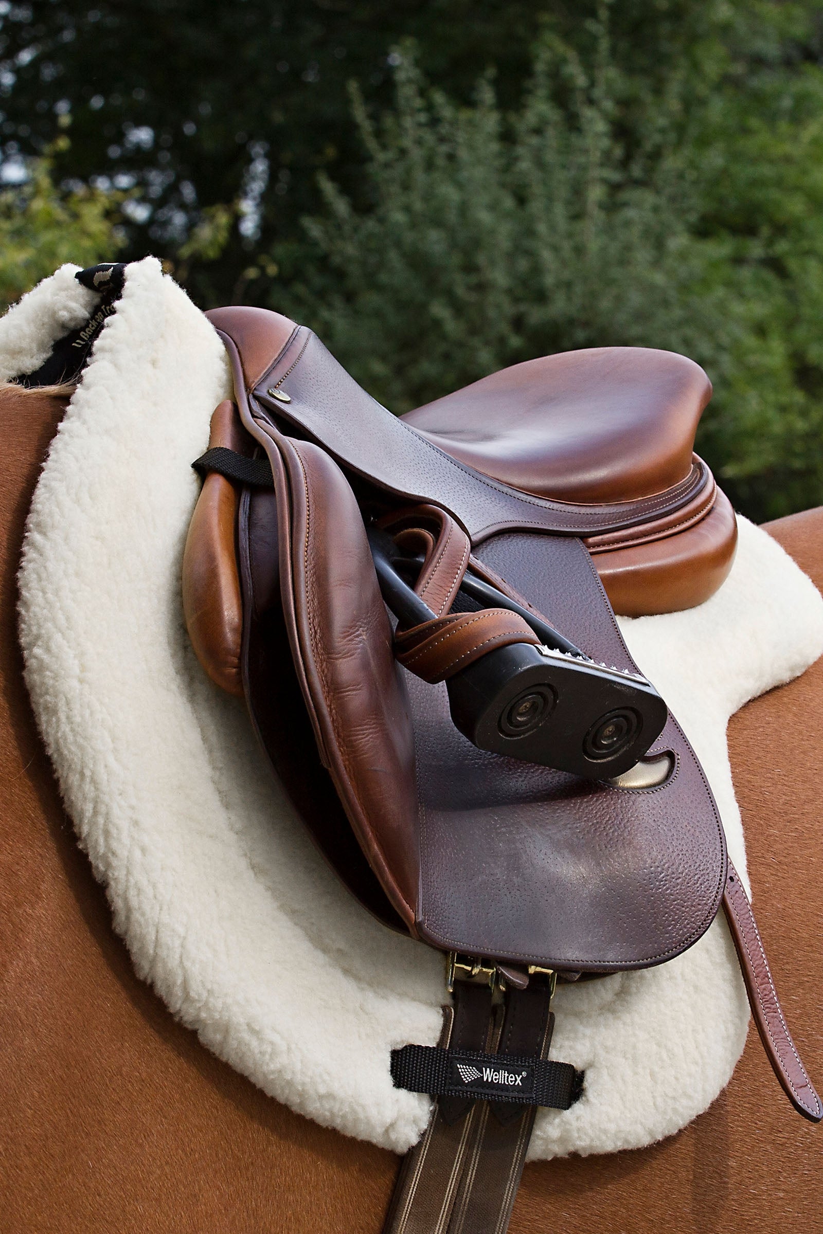 Back on Track Back On Track "Teddy" Saddle Pad Saddle Pads