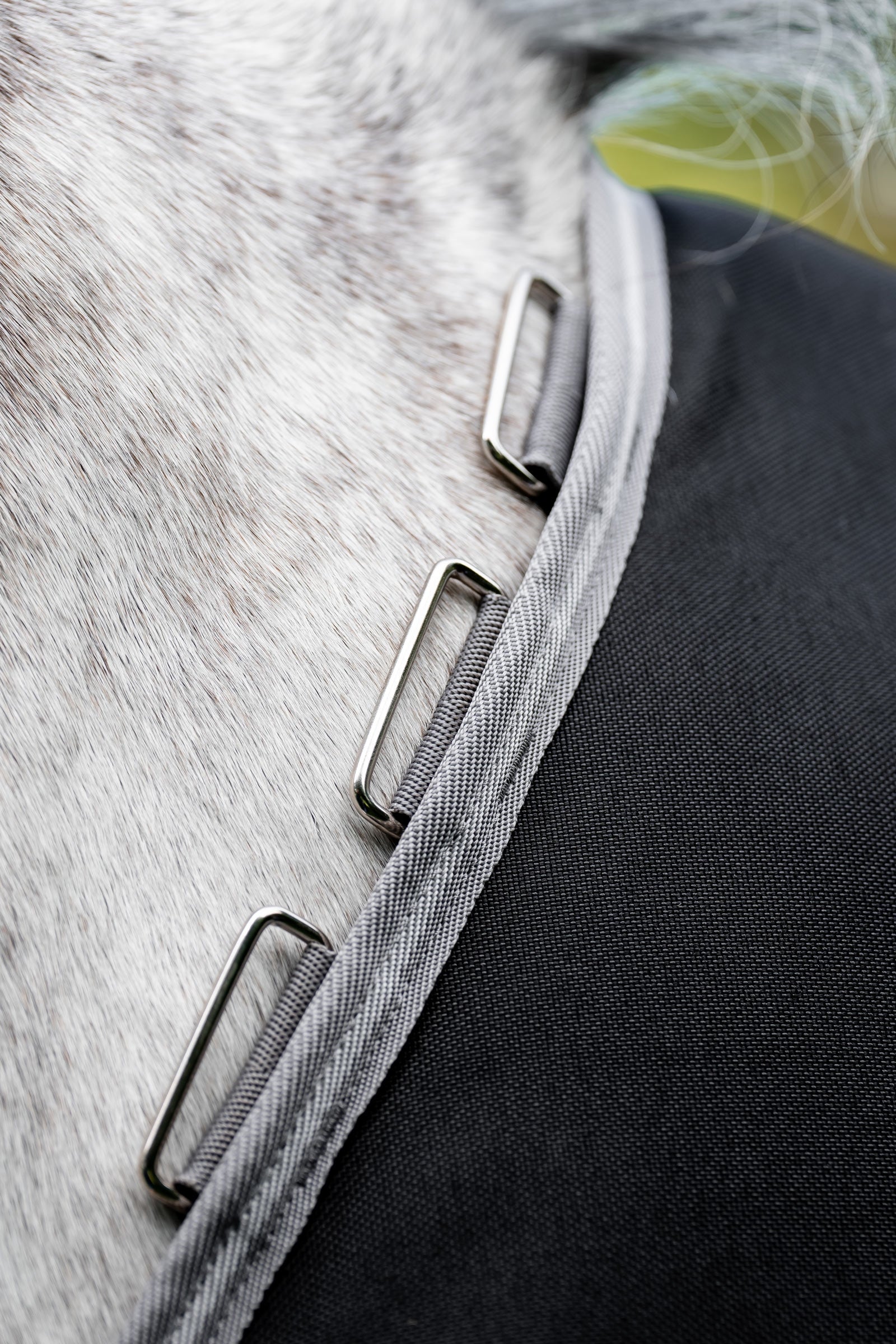 Horseware Amigo 1200D Plus Turnout Rug, 250 g Horse Rugs