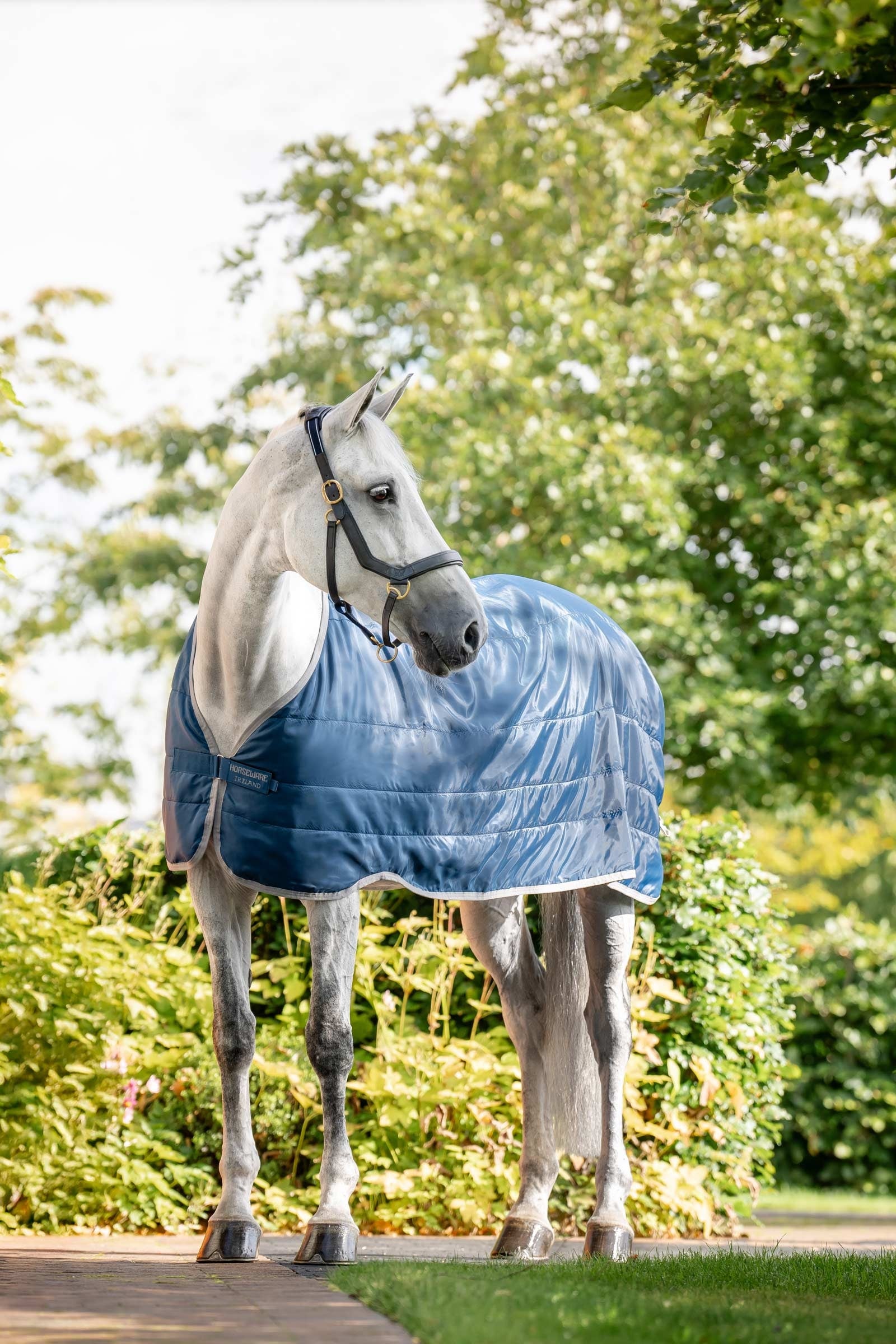 Horseware Ionic Therapy Fodera 50g Coperte per cavalli