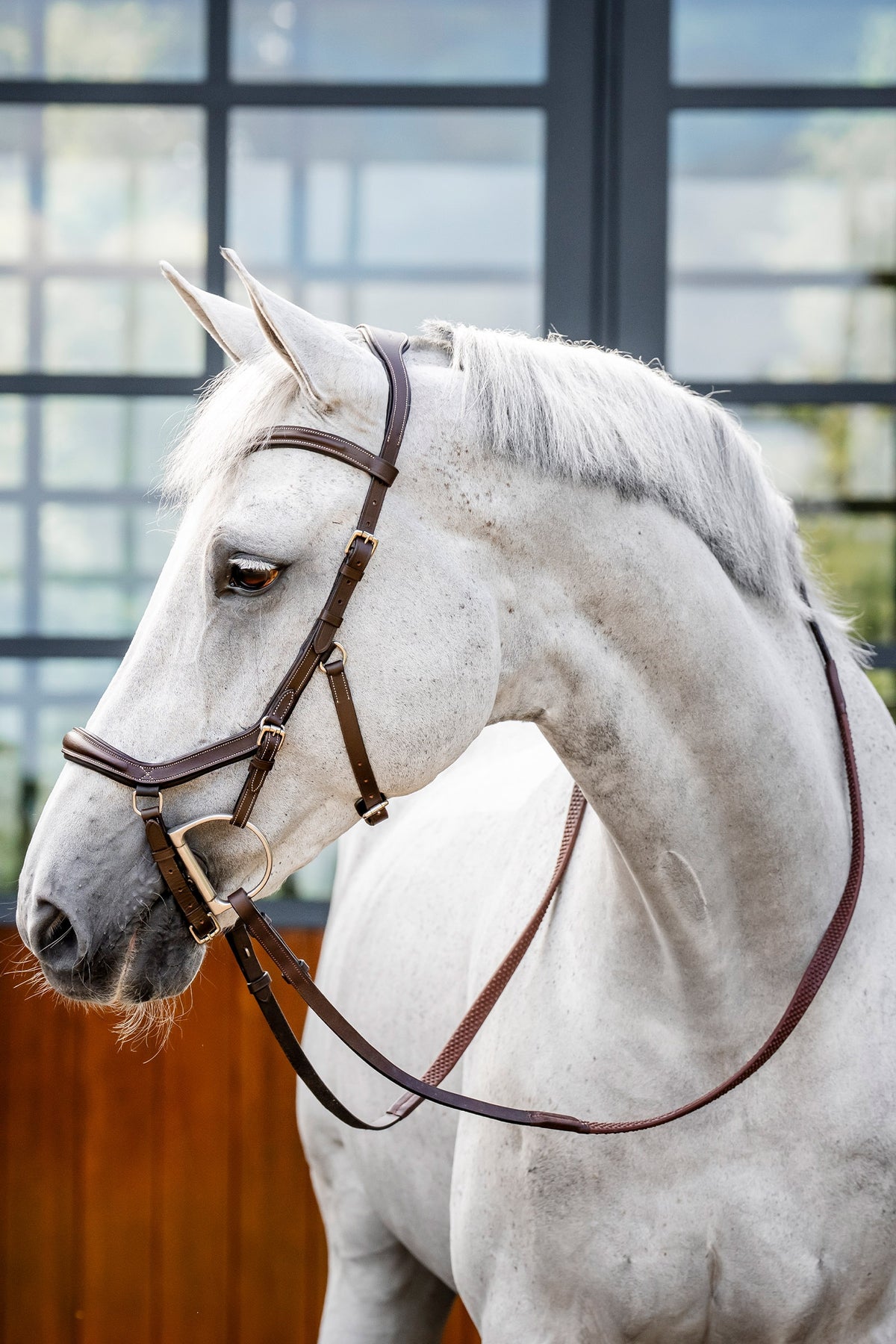 Horseware Deluxe Competition Micklem Bridles & Reins