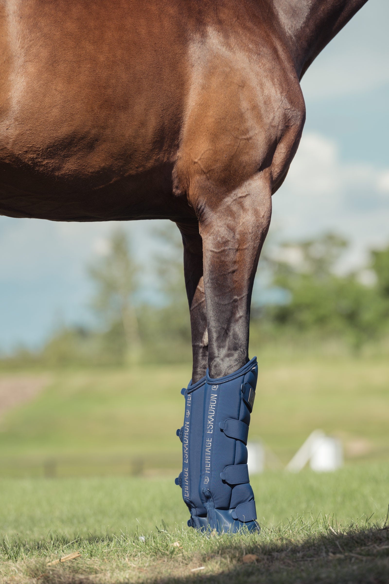 Eskadron Heritage AW24 Softshell Travelling Boots Leg Protection & Hoof Protection for Horses
