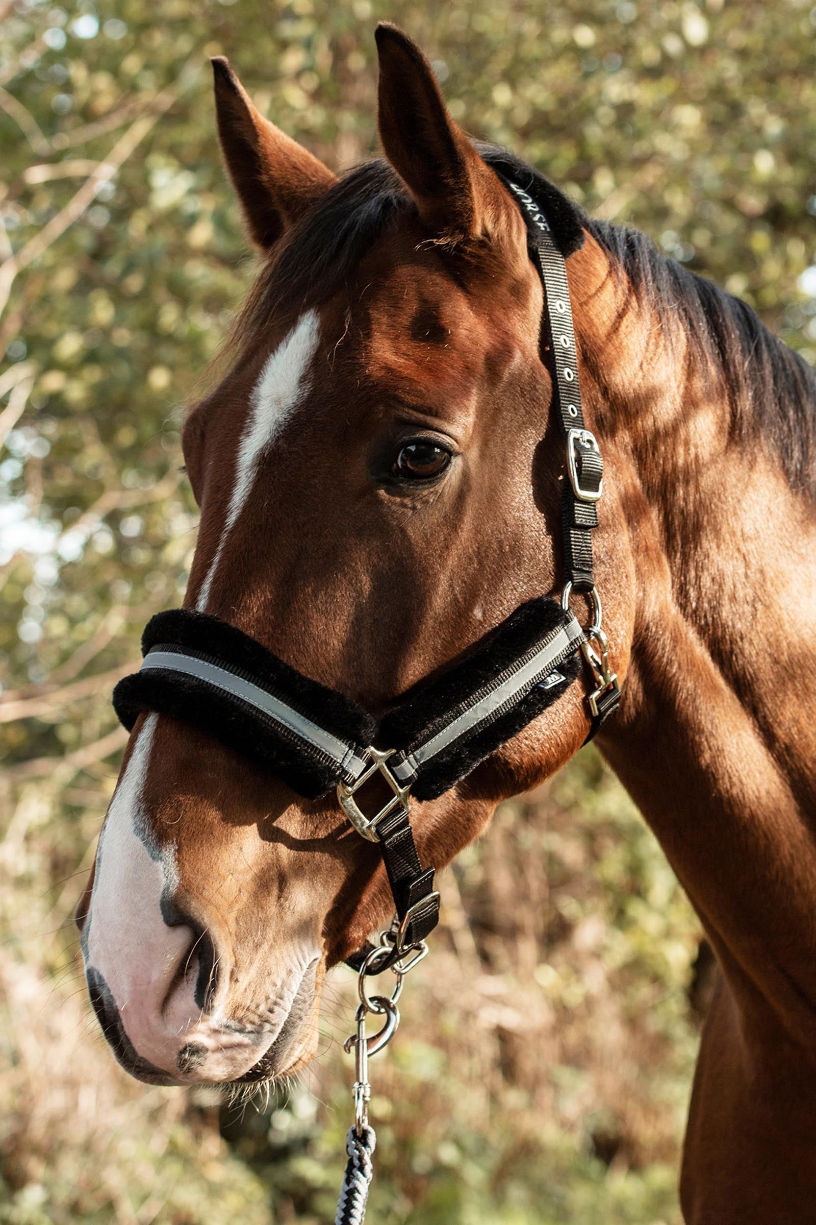 Mountain Horse Adjustable Halter With Faux Fur Cavezze e guinsagli