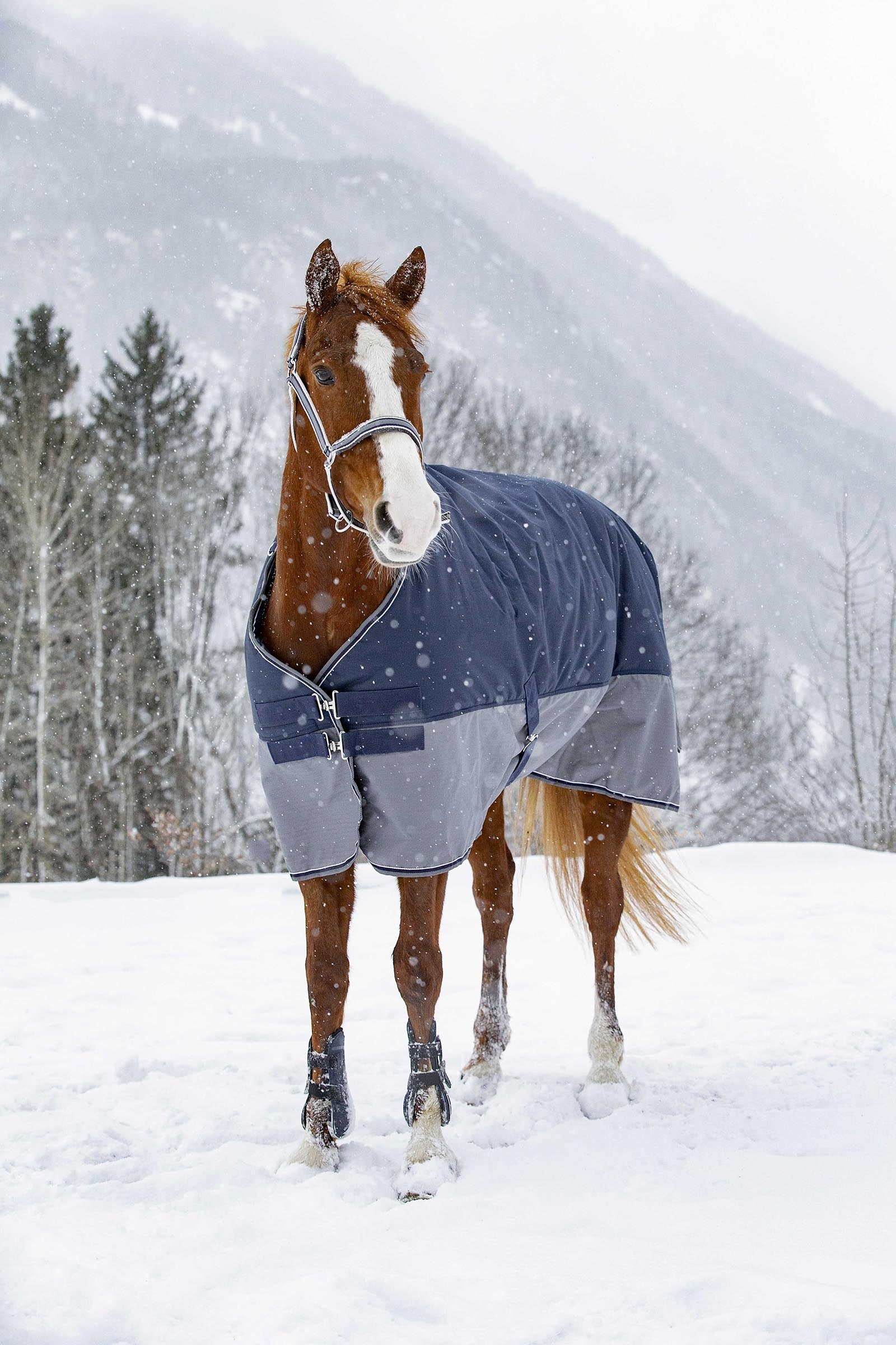 Equi Theme EQUITHÈME TYREX 600D Turnout Rug, 50 g Horse Rugs