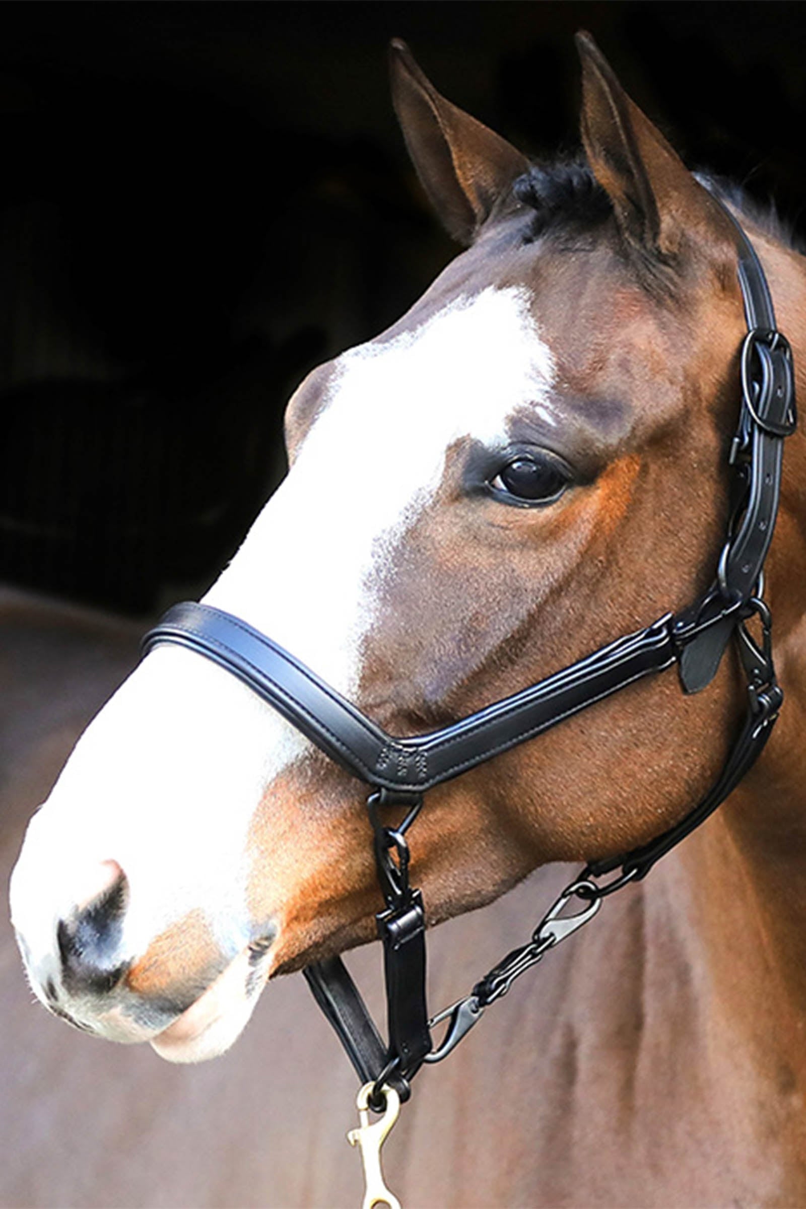 Liveryman Leather Clipping Headcollar Ritaglio e finiture