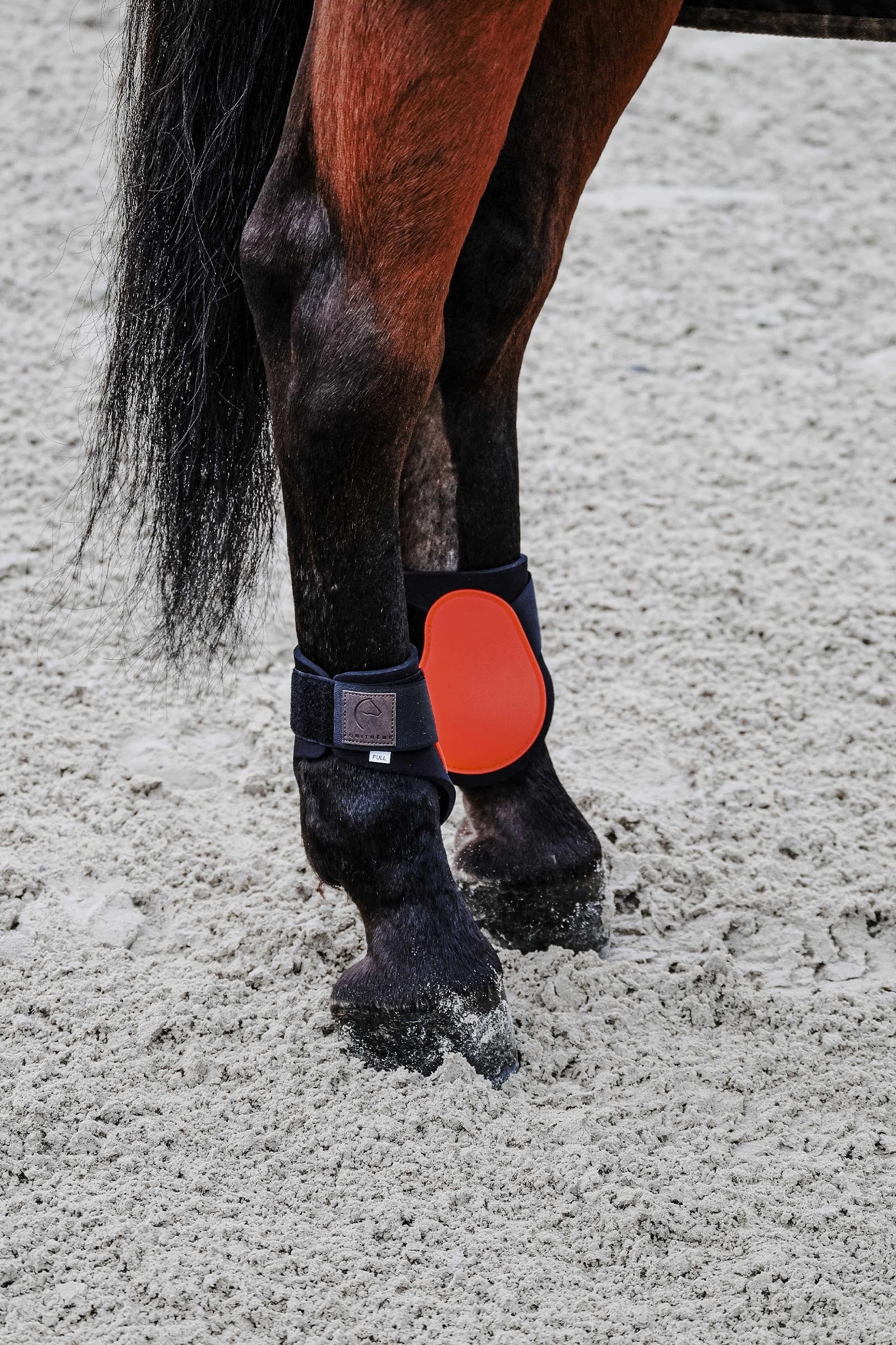 Equi Theme EQUITHÈME Tara Fetlock Boots Leg & Hoof Protection