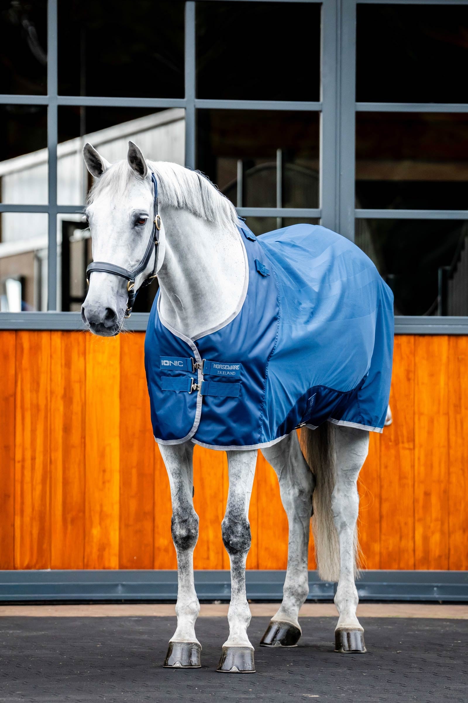 Horseware Ionic Therapy Mesh Coperta antisudore Coperte per cavalli