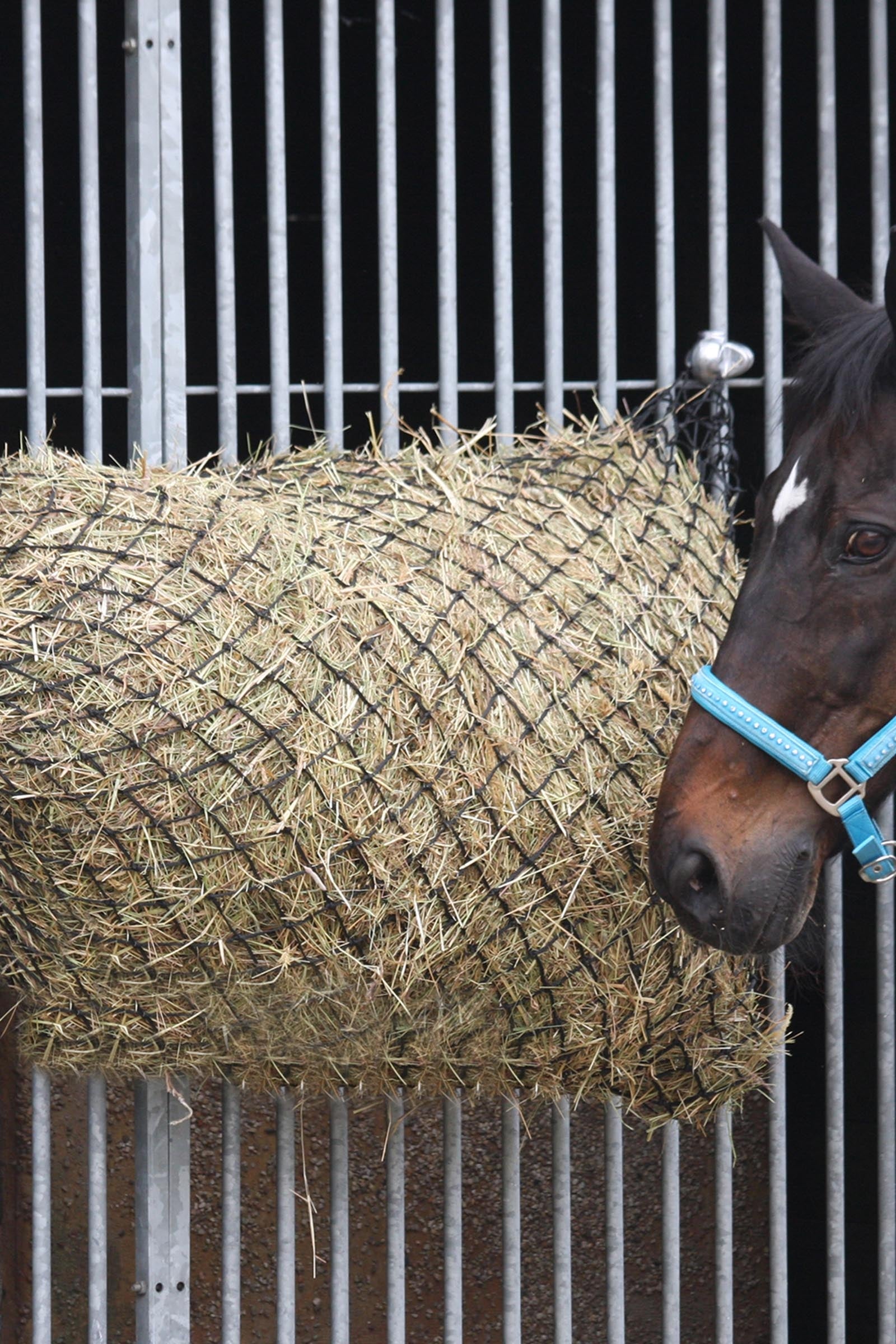 undefined Waldhausen Large Hay Net, (meshed 4,5 x 4,5 cm) Horse Feeders & Waterers