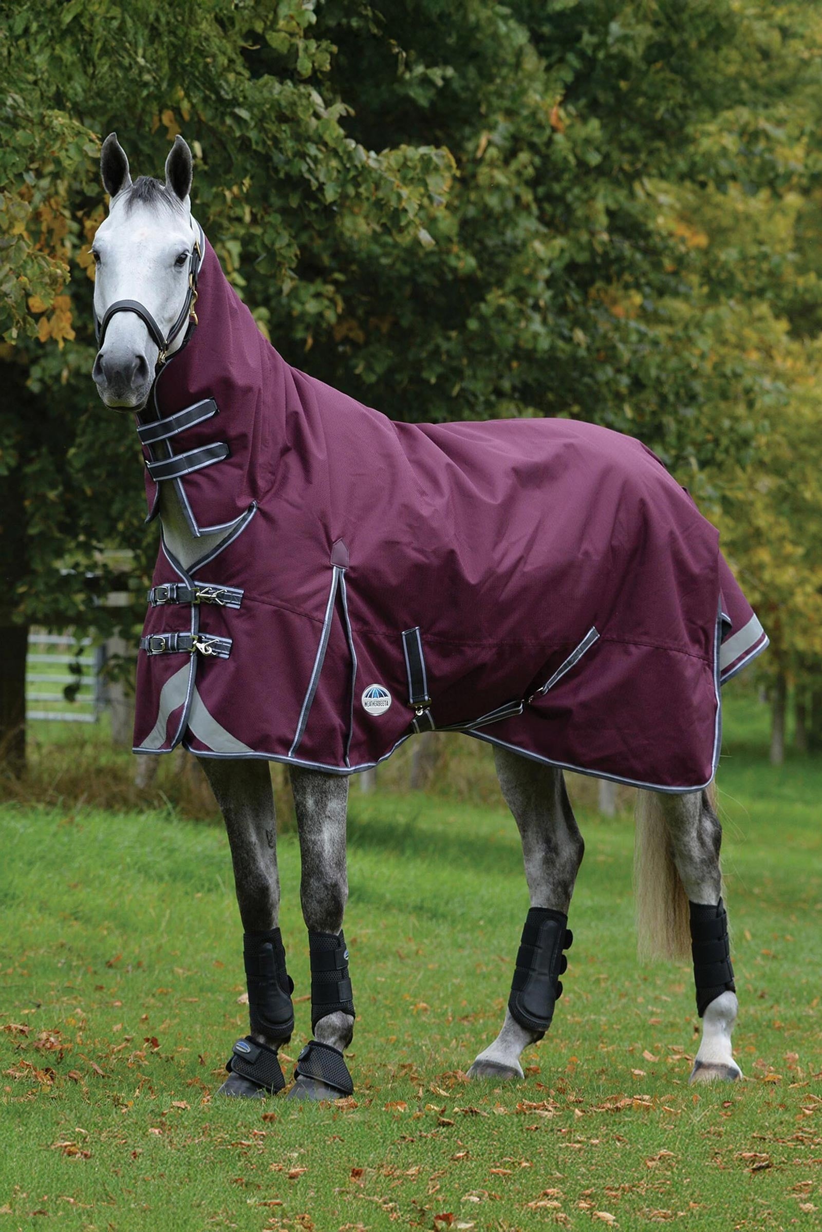 Weatherbeeta Comfitec Plus Dynamic II coperta da turnout leggera con collo fisso, 100g Coperte per cavalli