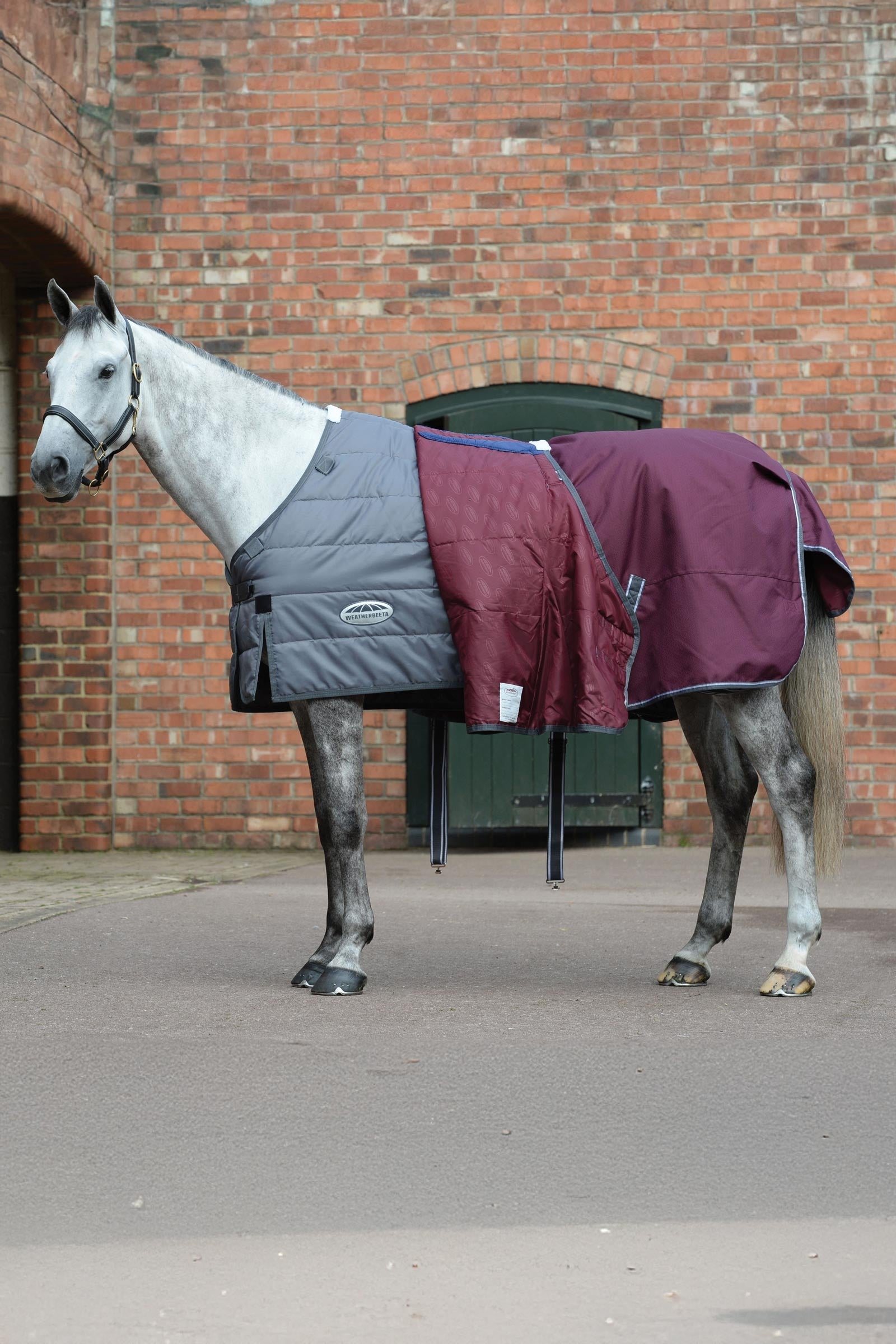 Weatherbeeta Comfitec Plus Dynamic II Turnout Rug With Fixed Neck, 100g Horse Rugs