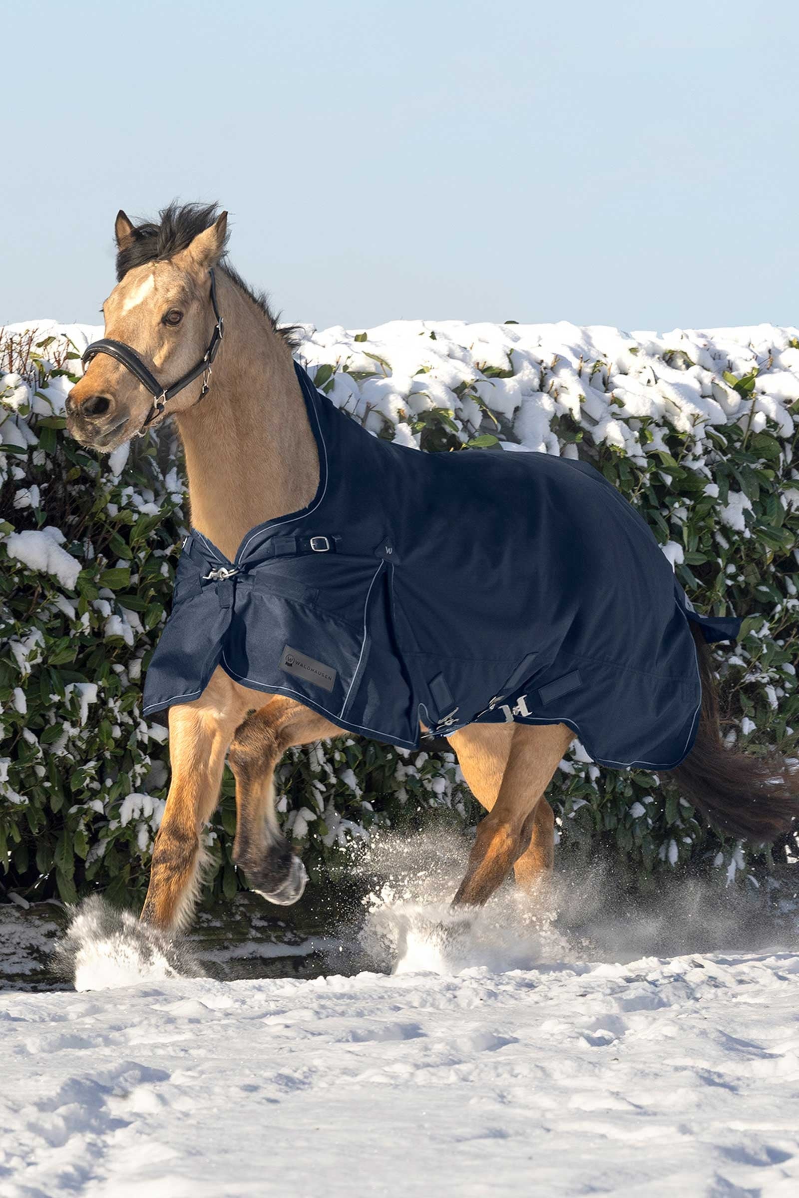 Waldhausen Scandic Turnout Rug With High Neck, 200g Horse Rugs